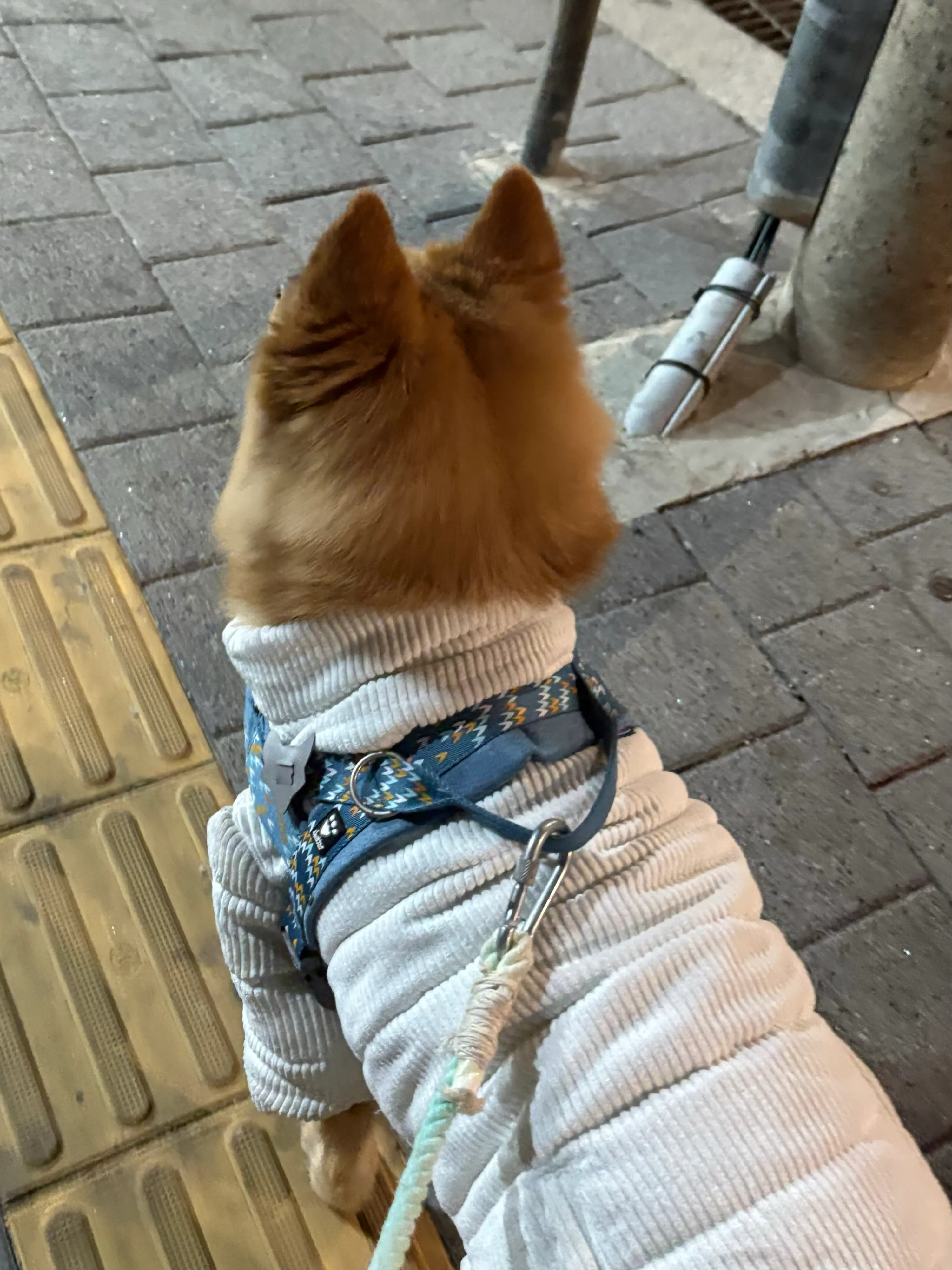 5번째 파일