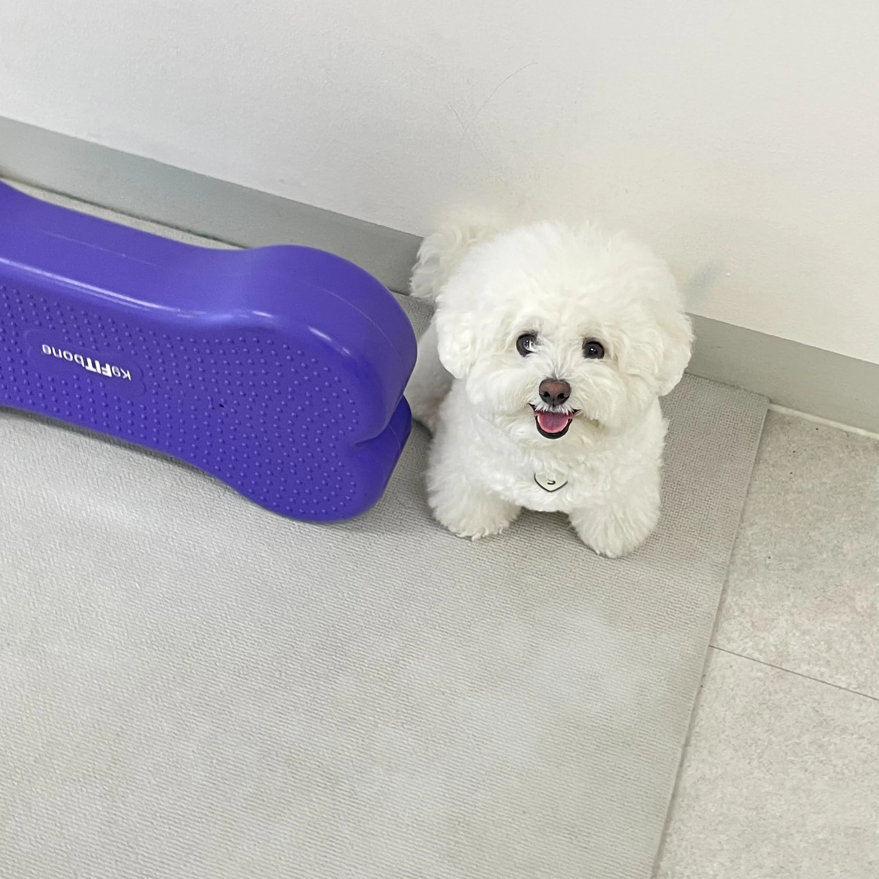 2번째 파일