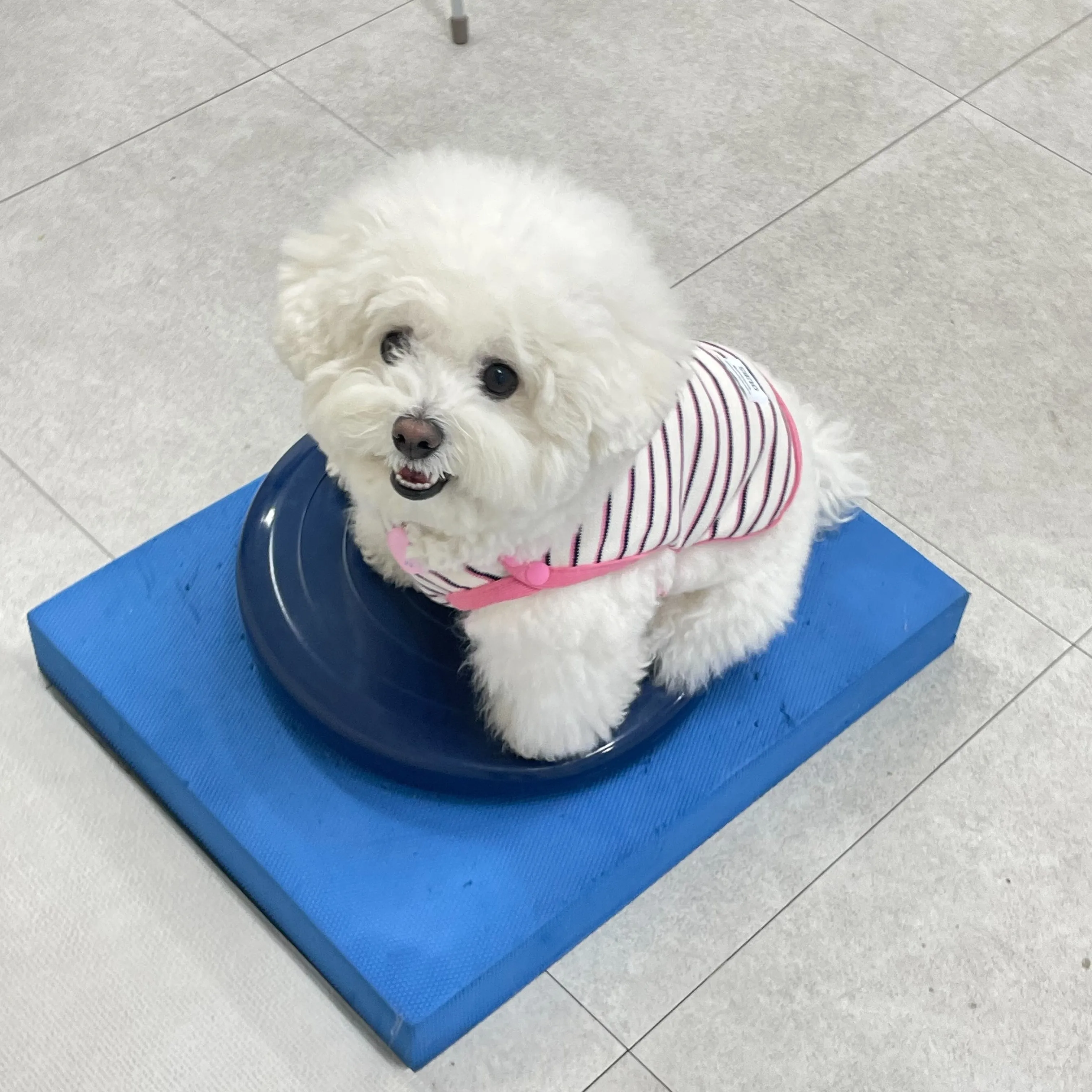 1번째 파일