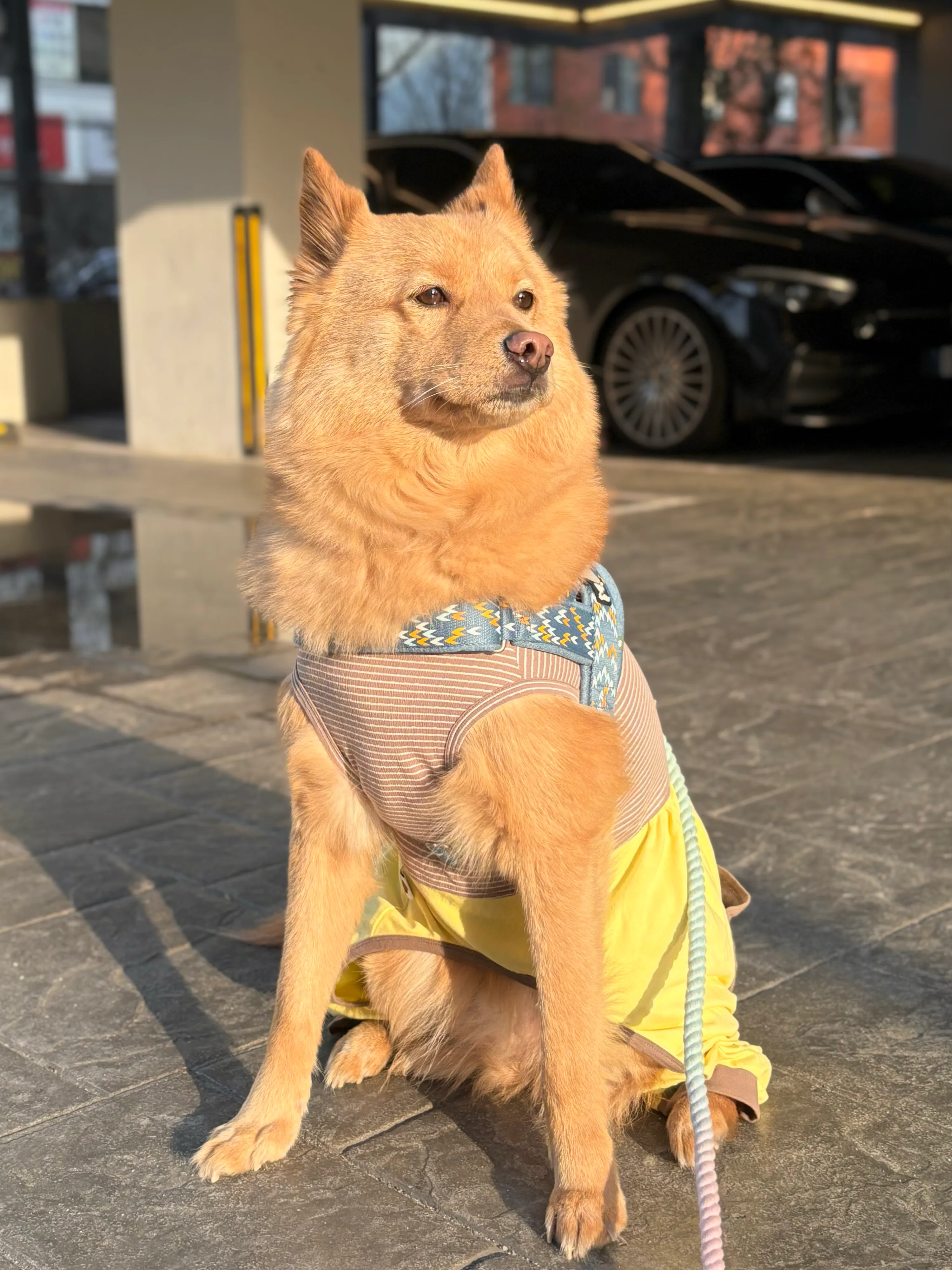 2번째 파일