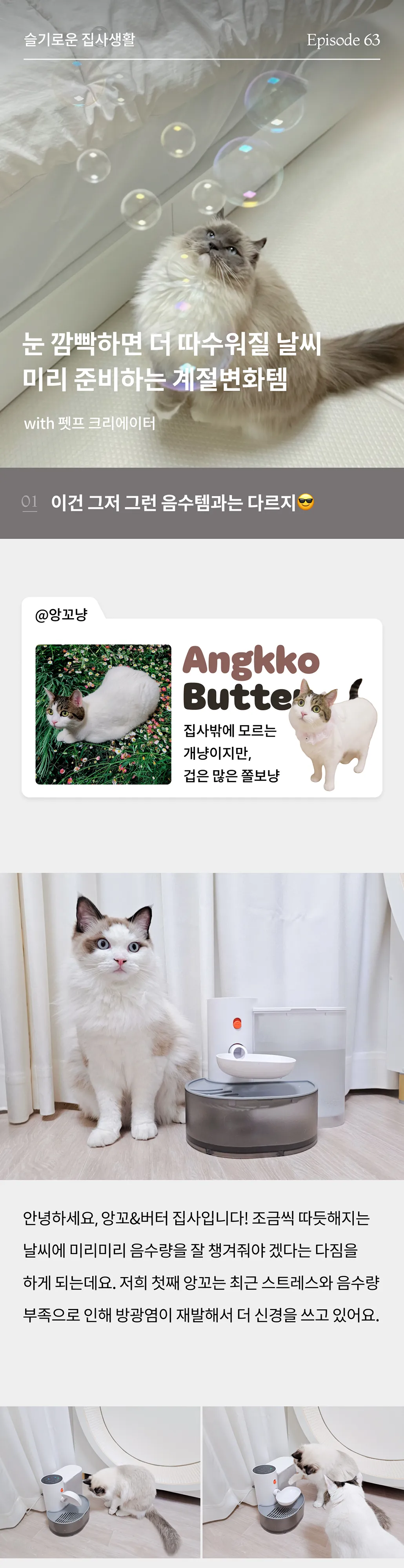 1번째 파일