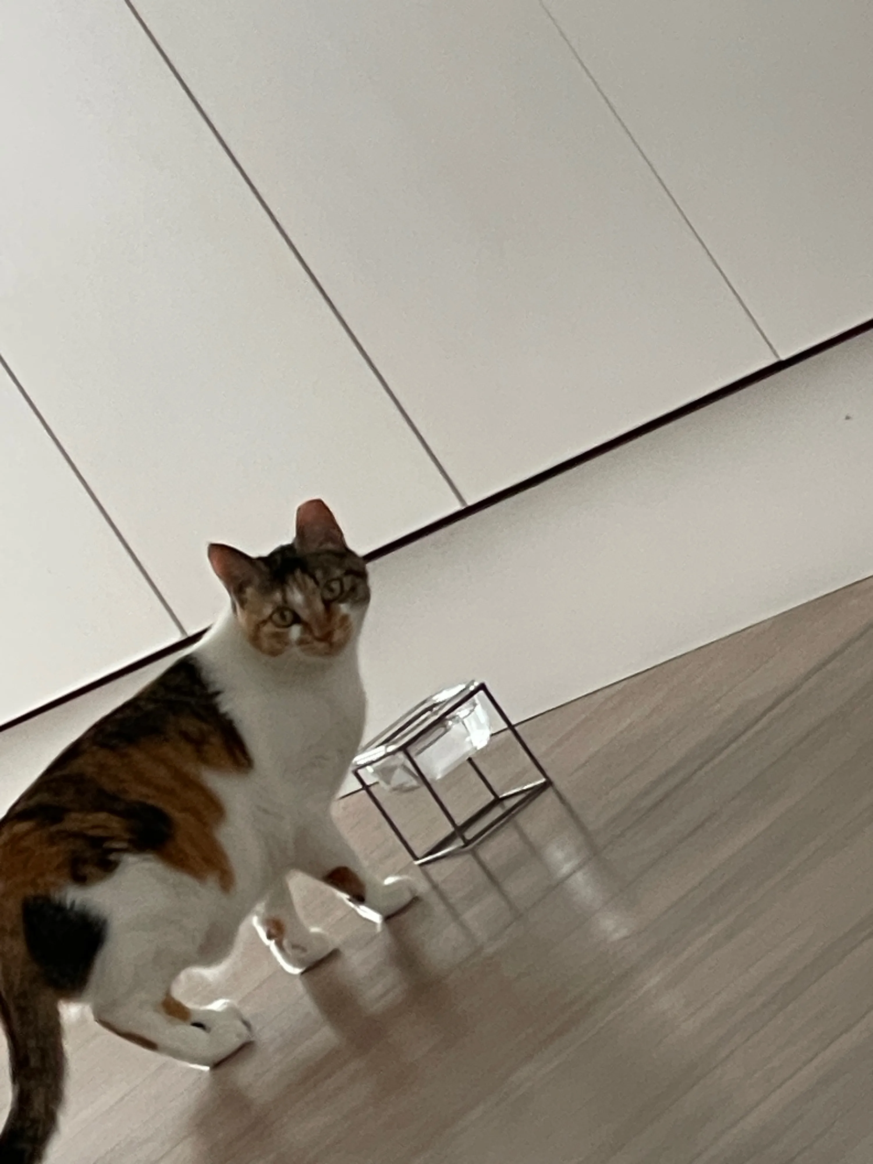 1번째 파일