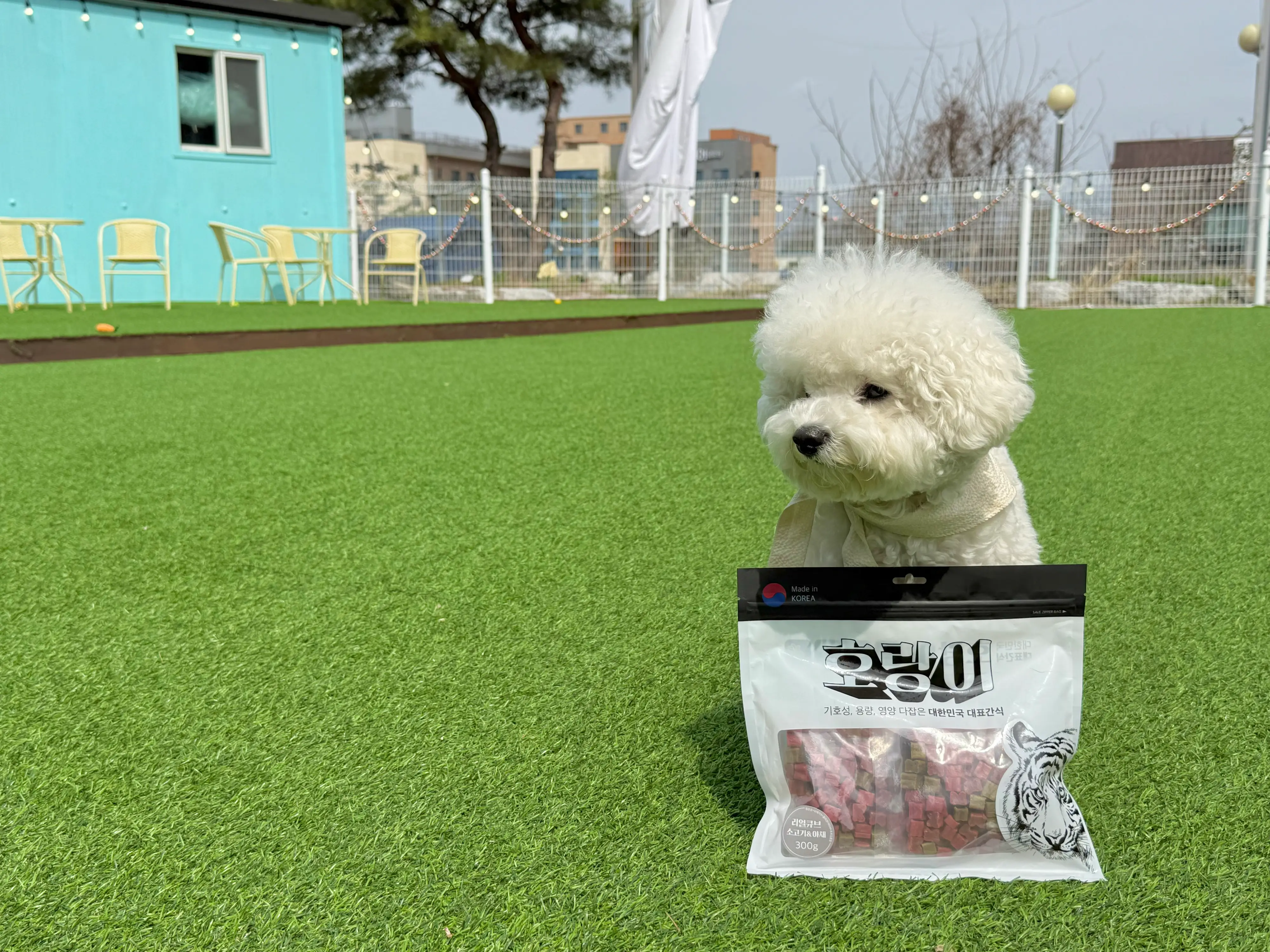 3번째 파일