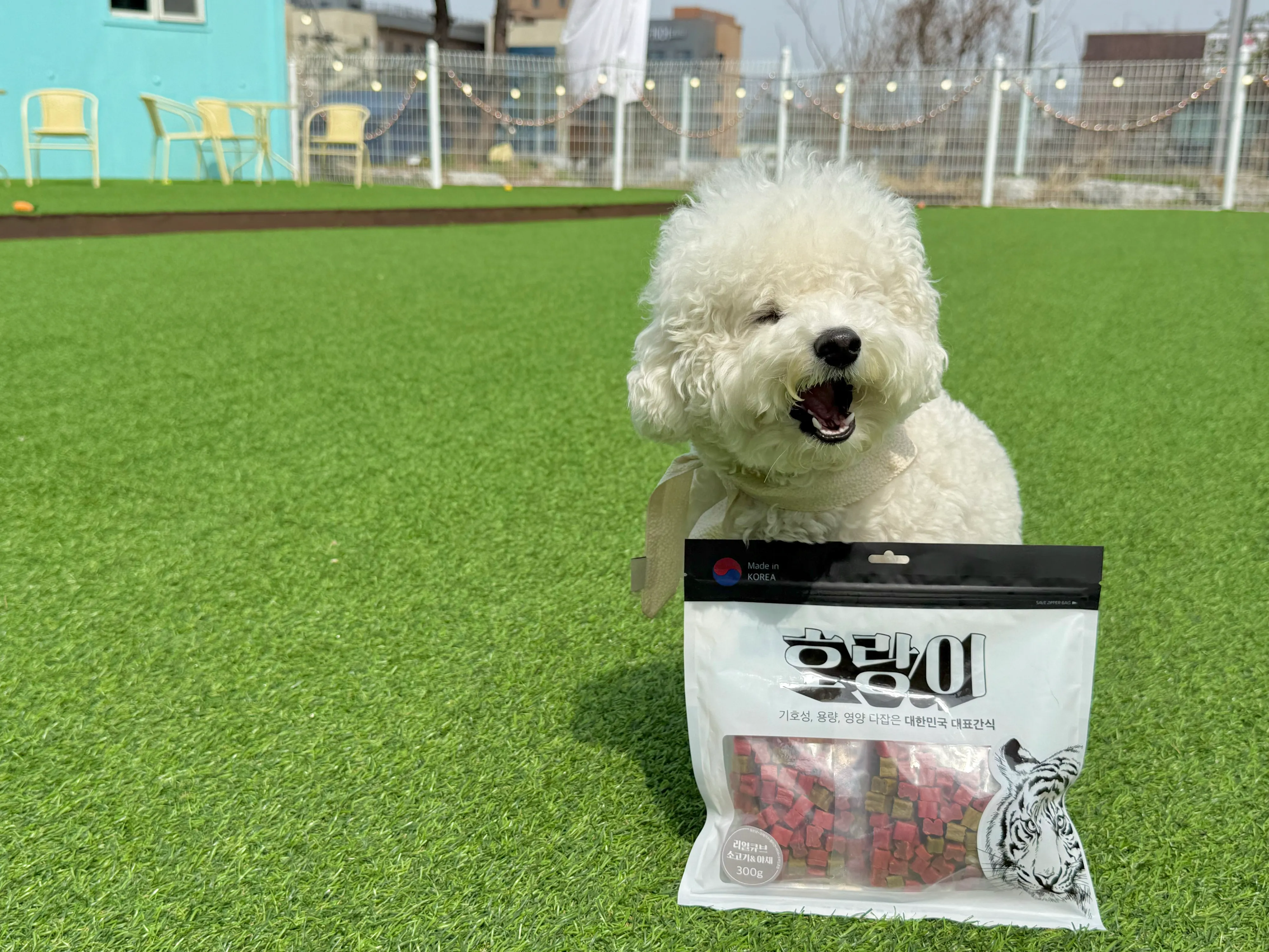 4번째 파일