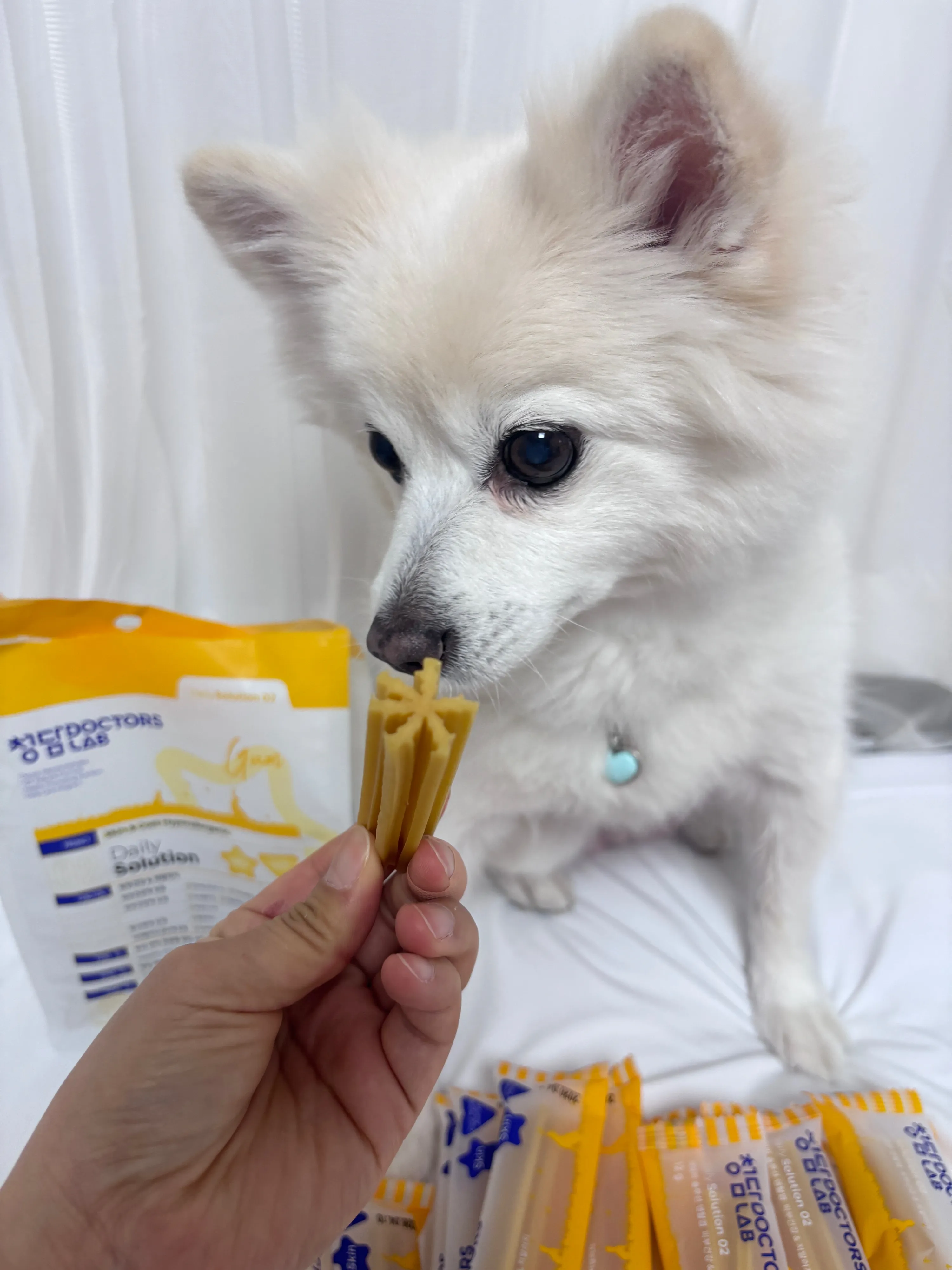 2번째 파일