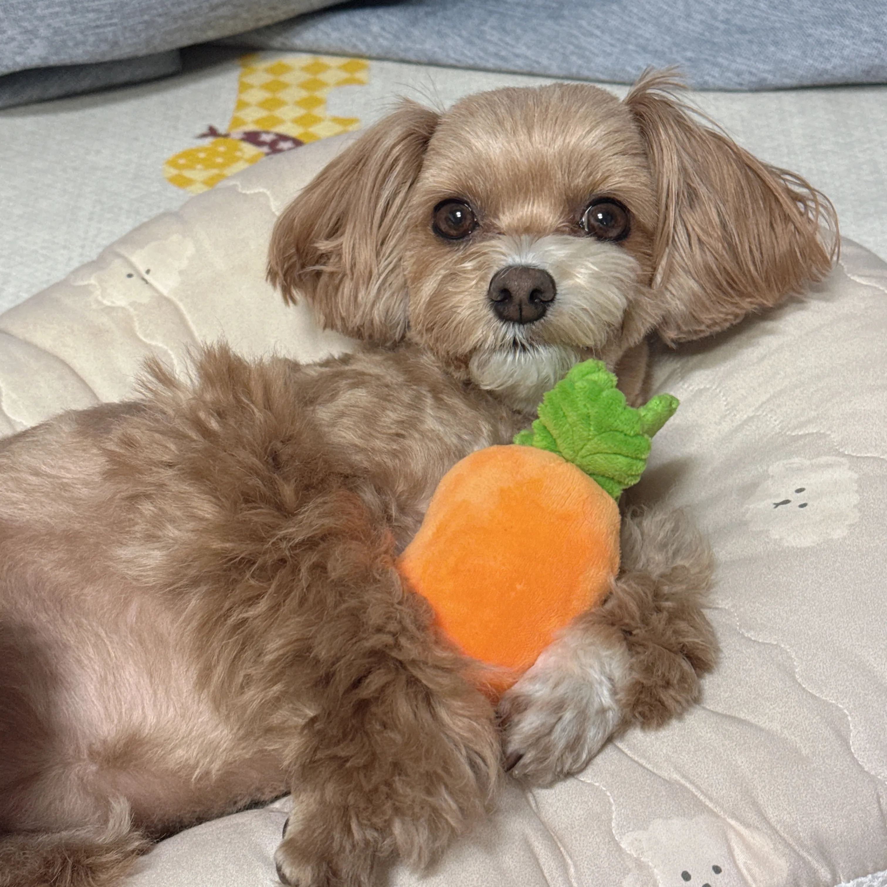2번째 파일