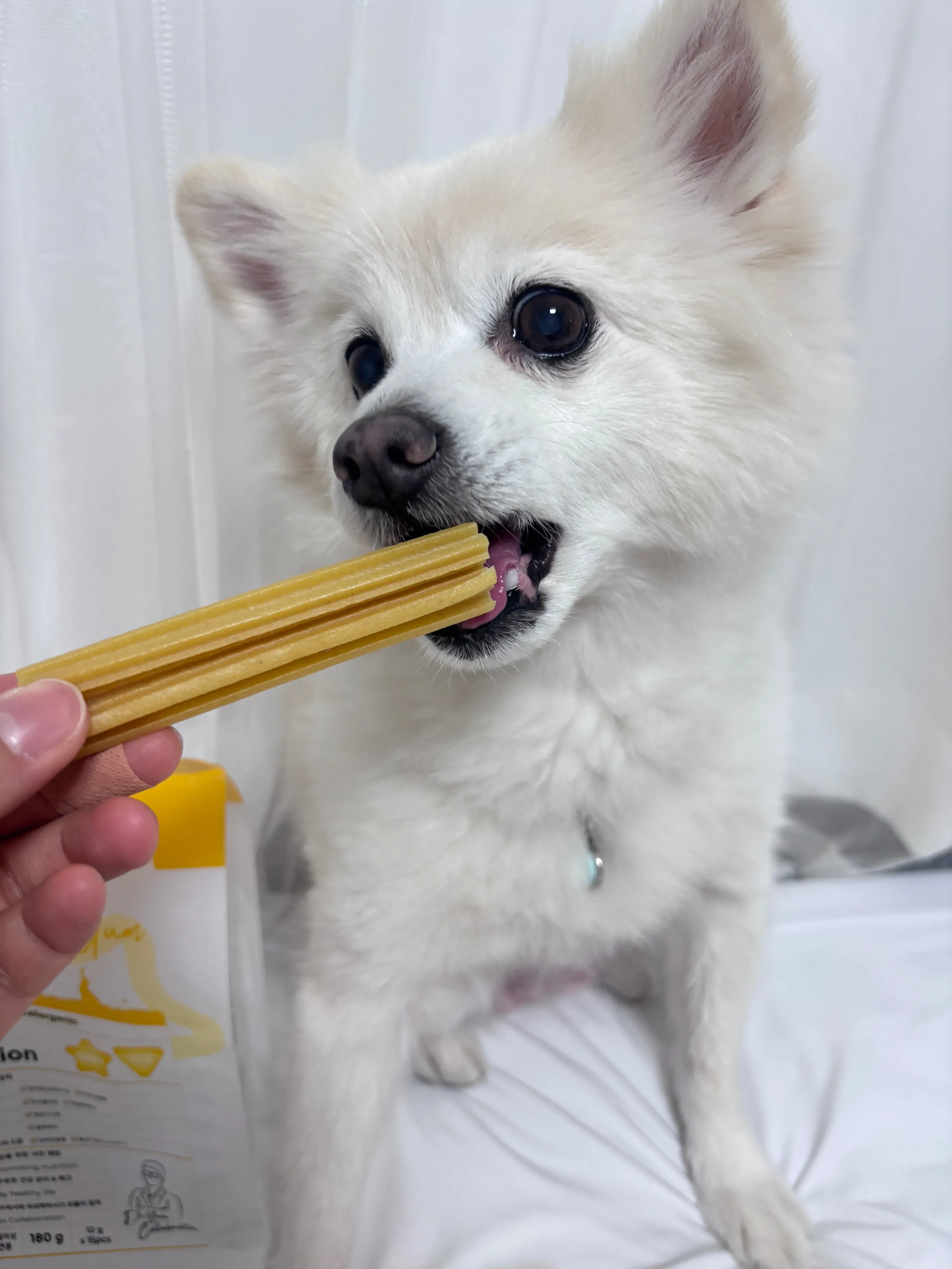 3번째 파일