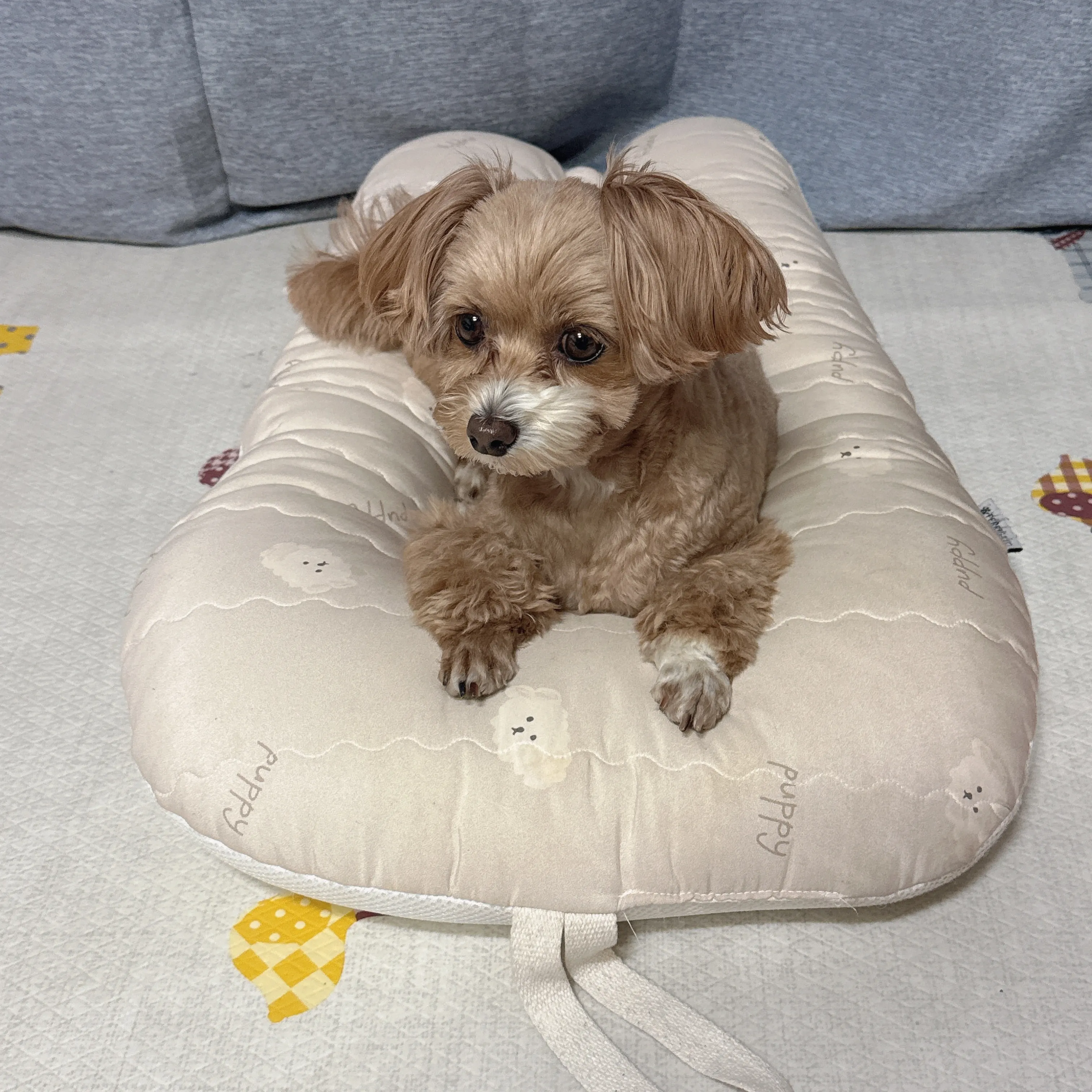 4번째 파일