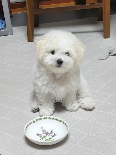 1번째 파일