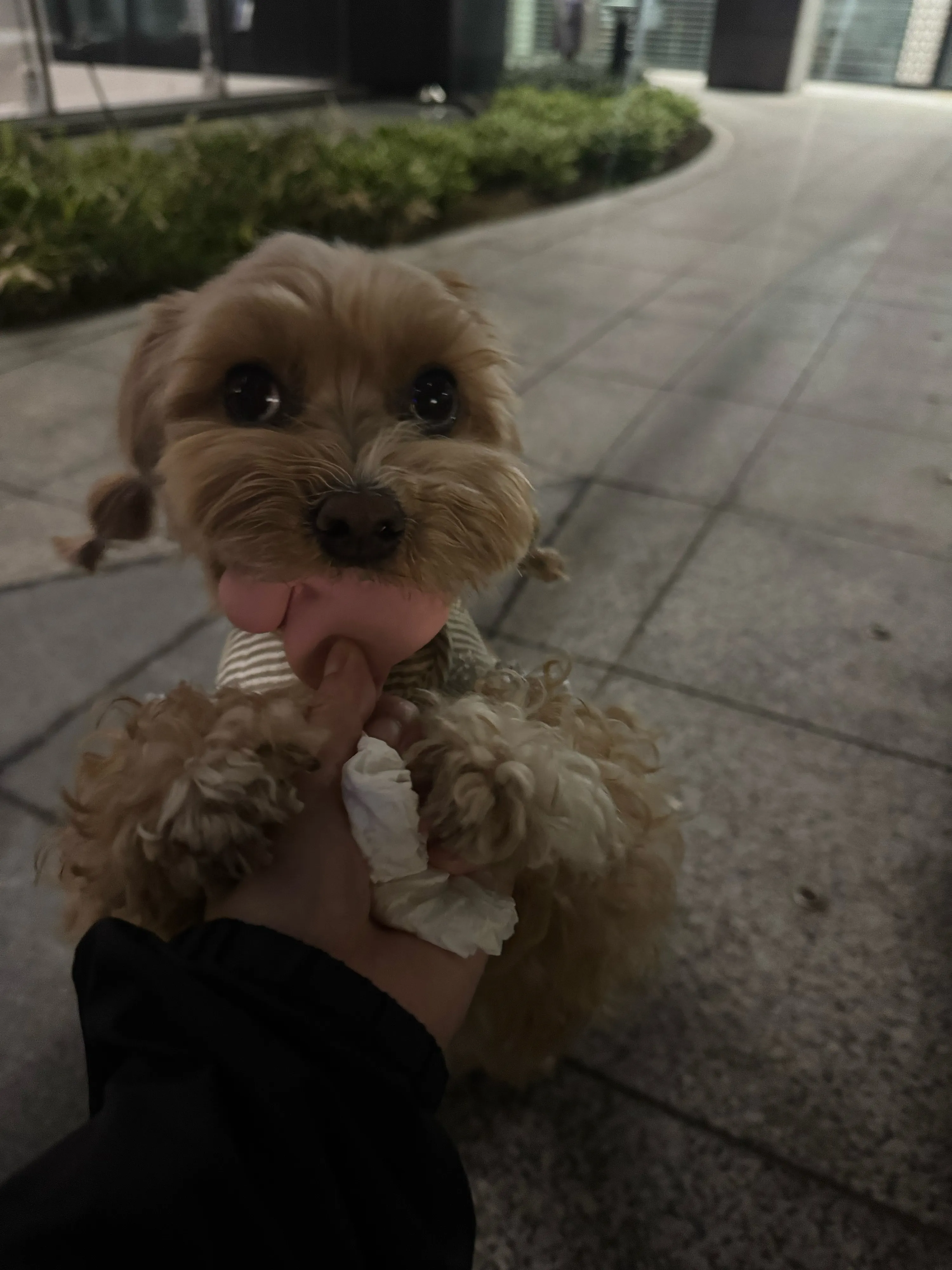 1번째 파일
