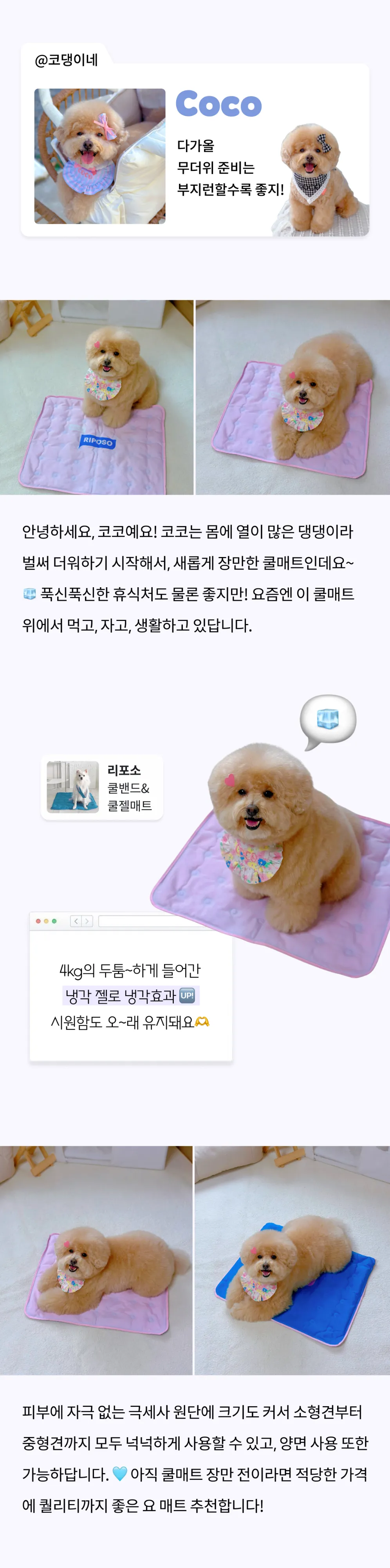 6번째 파일