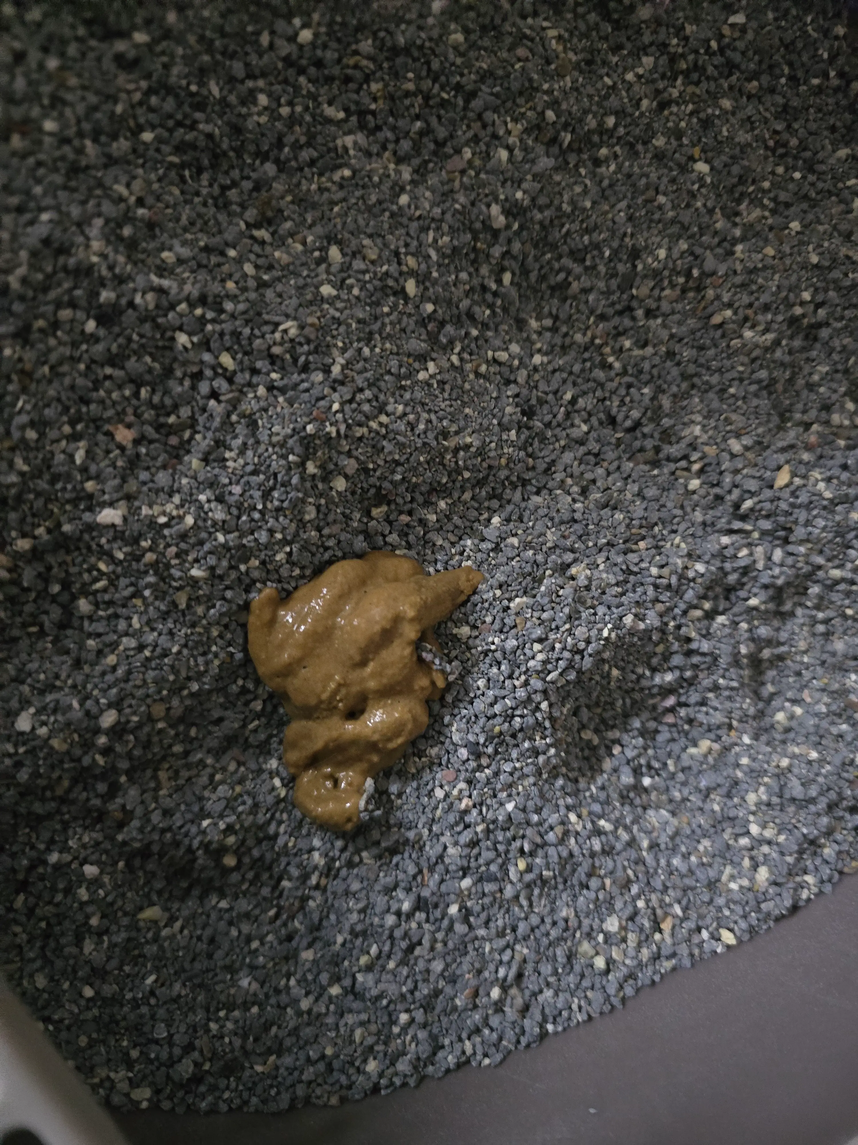 2번째 파일