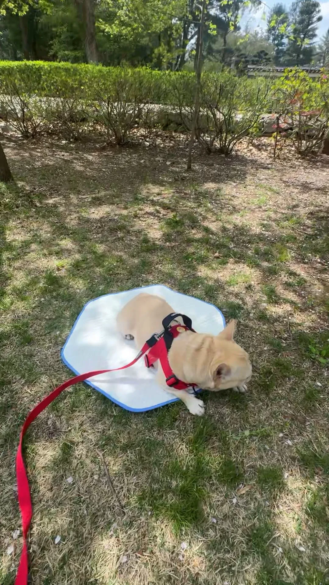 2번째 파일