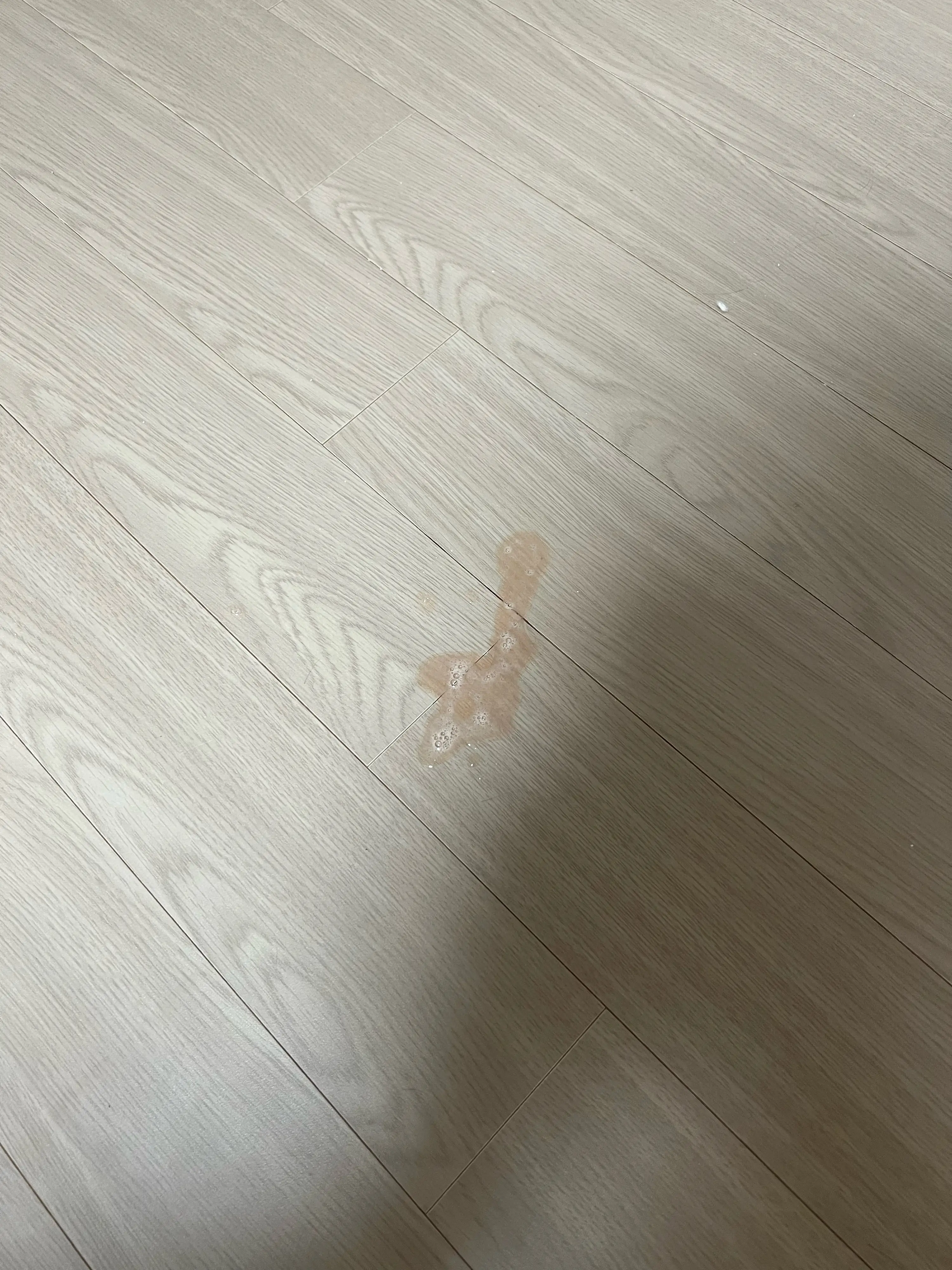 1번째 파일