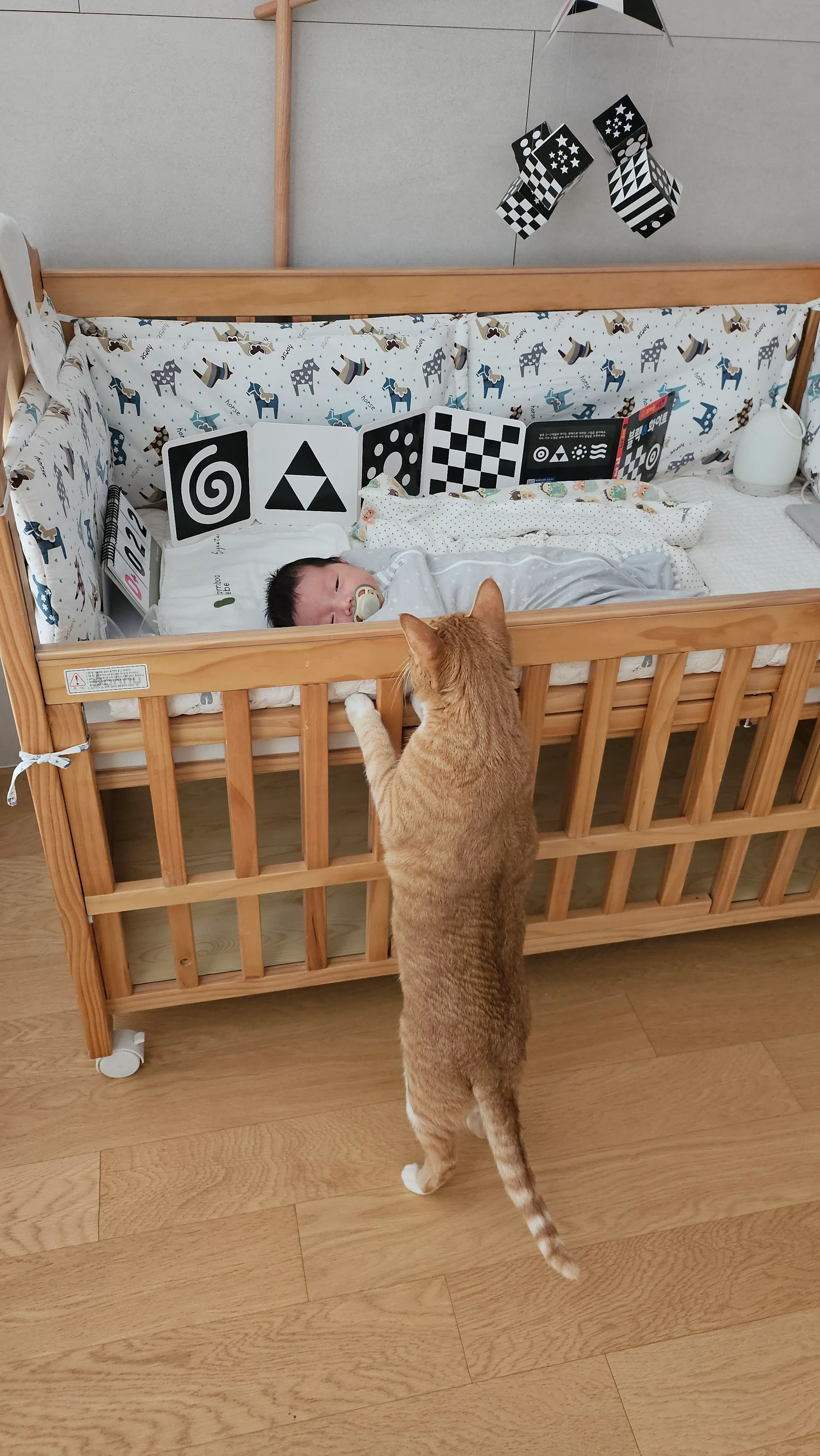 1번째 파일