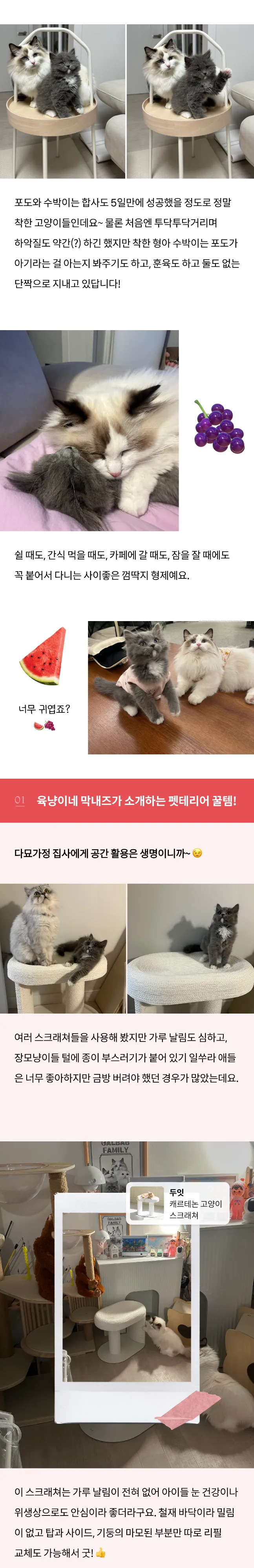 2번째 파일