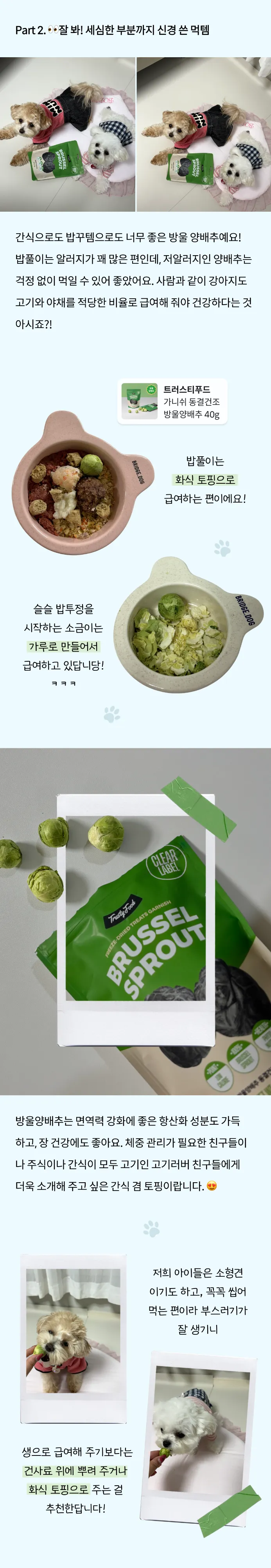 3번째 파일