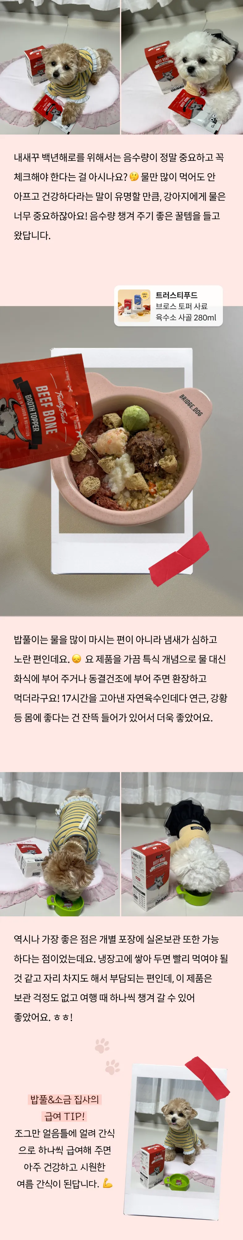 4번째 파일