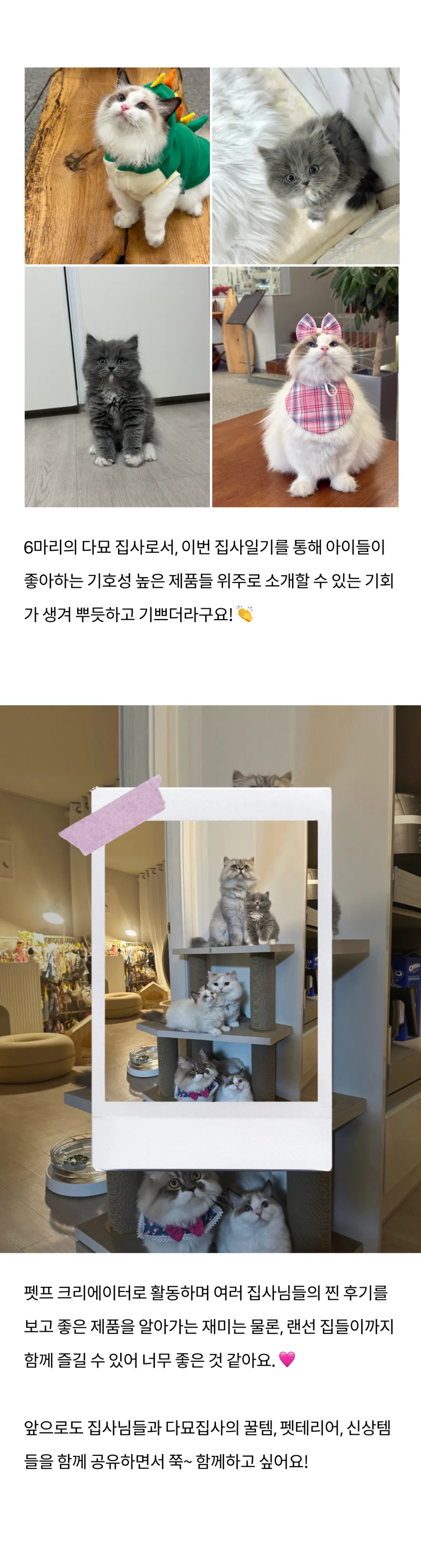 8번째 파일