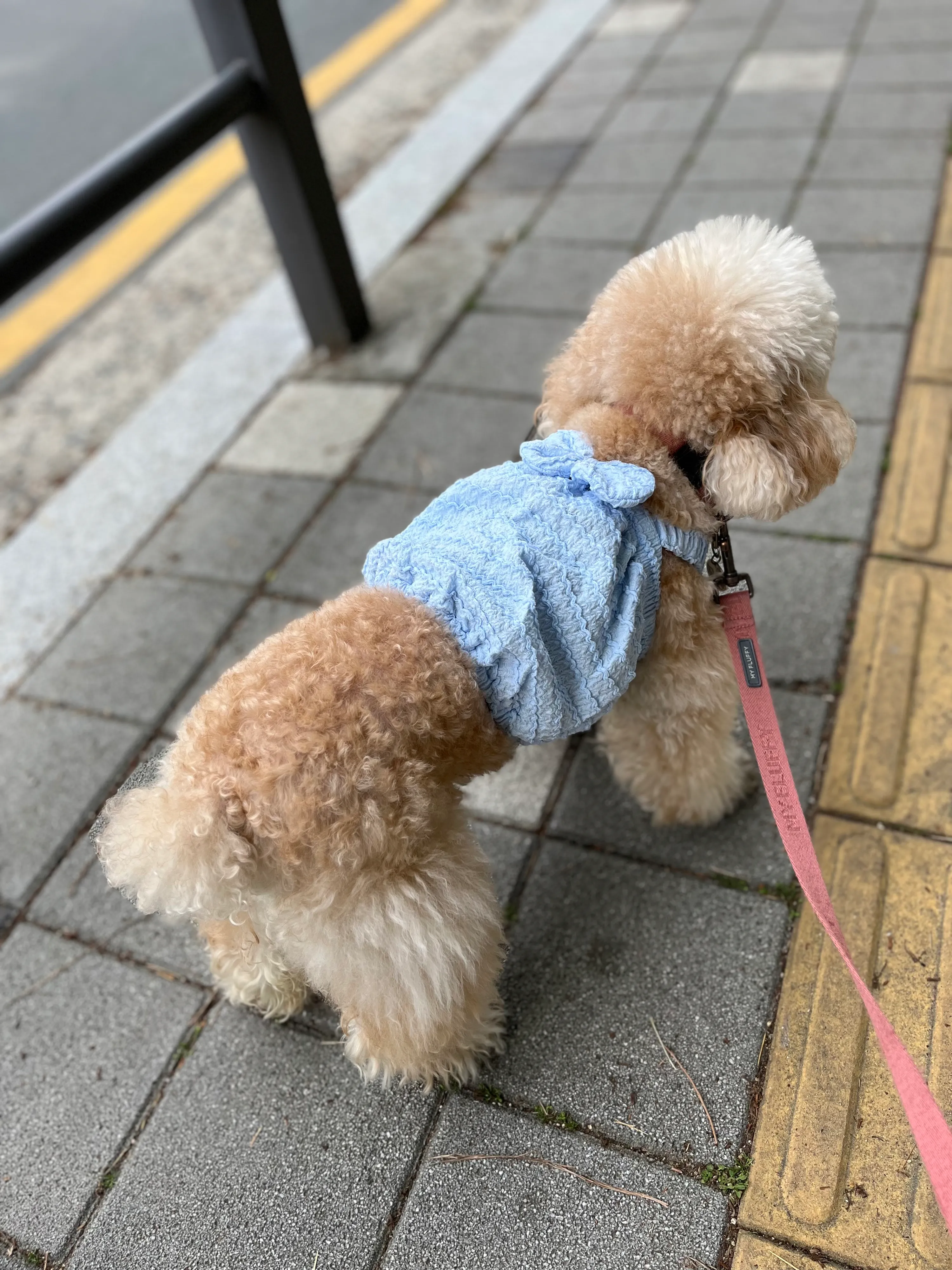 2번째 파일