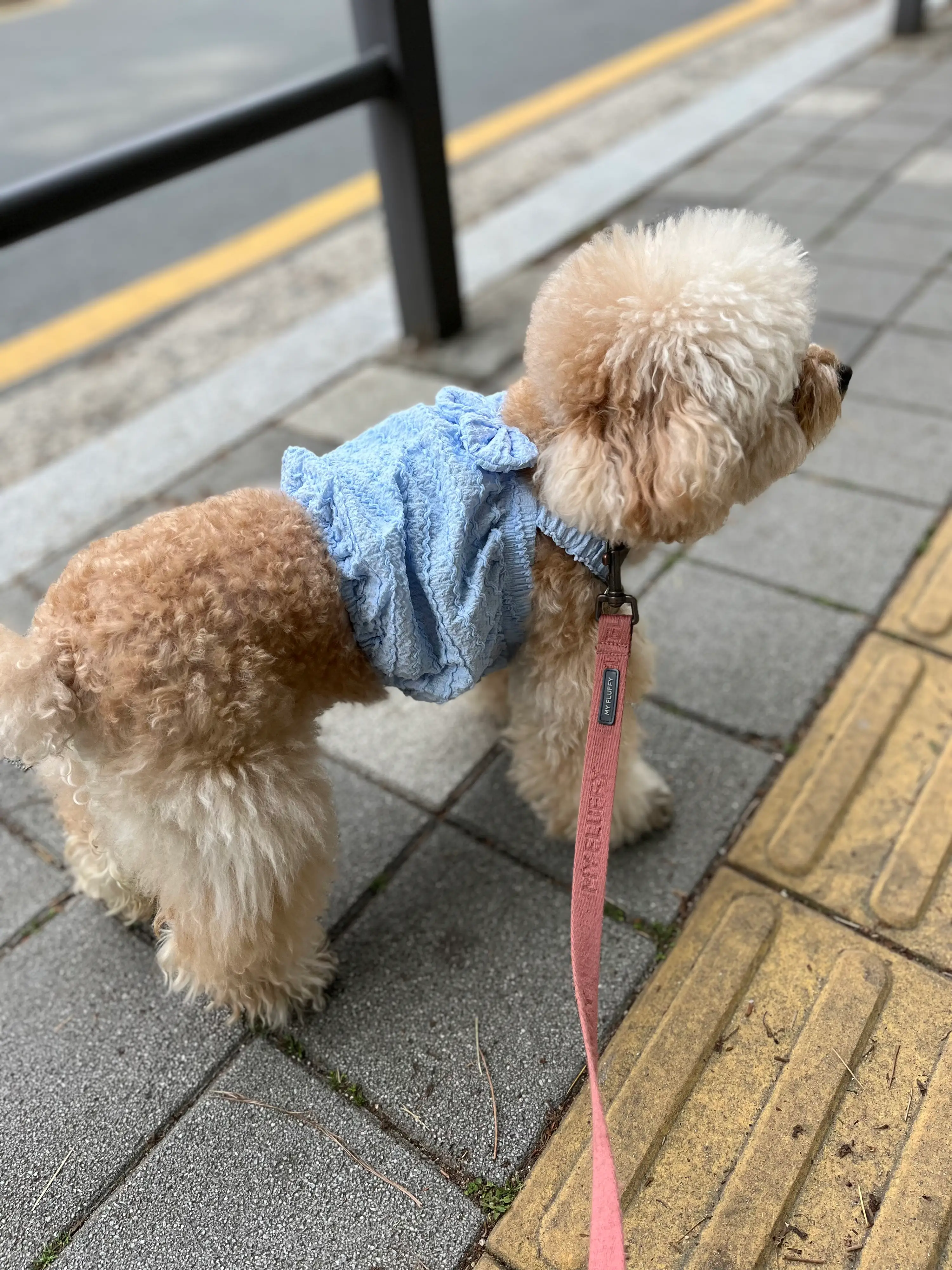 5번째 파일