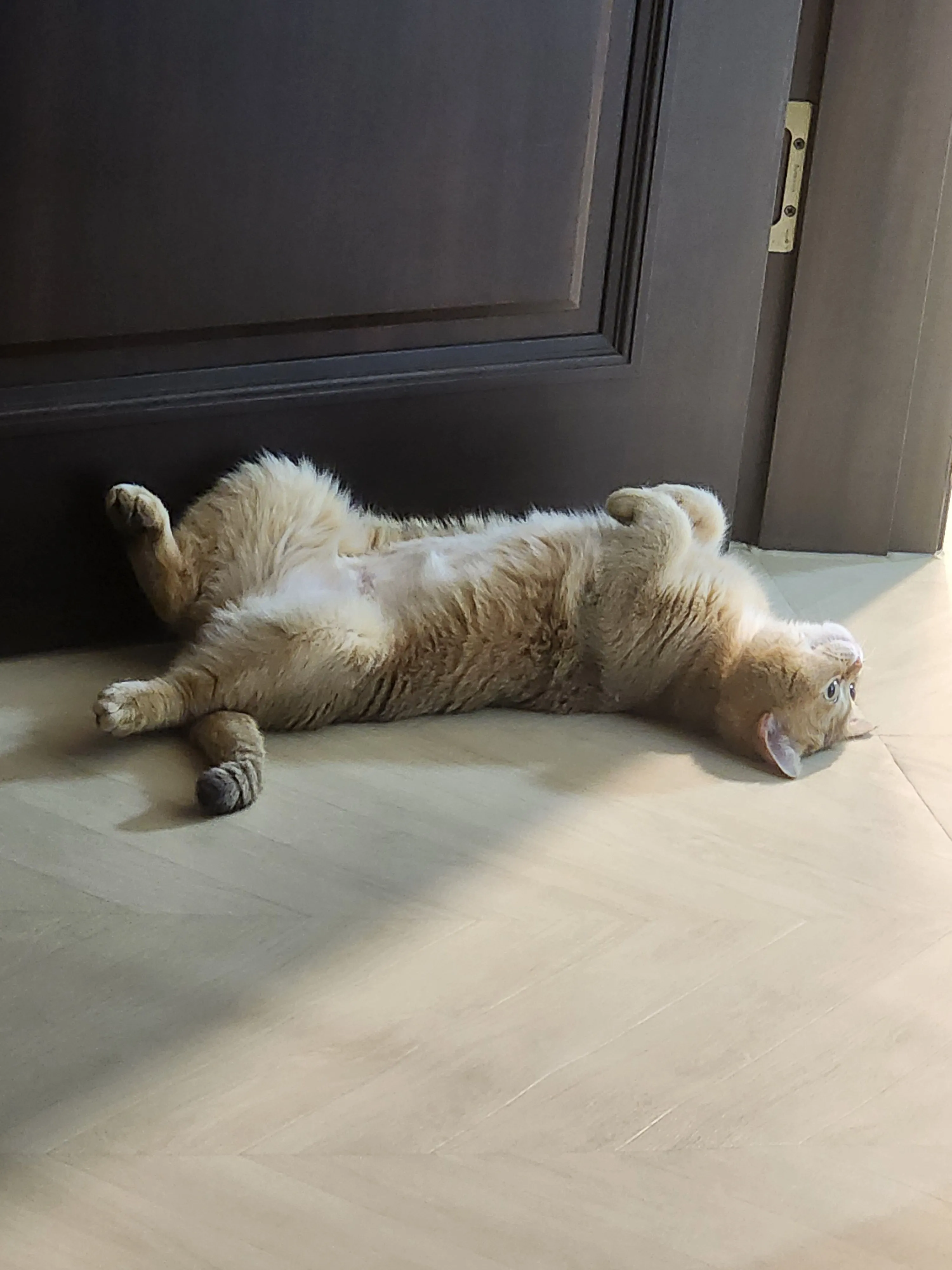 1번째 파일