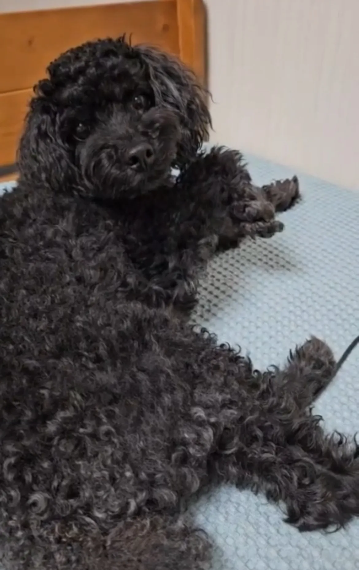 1번째 파일