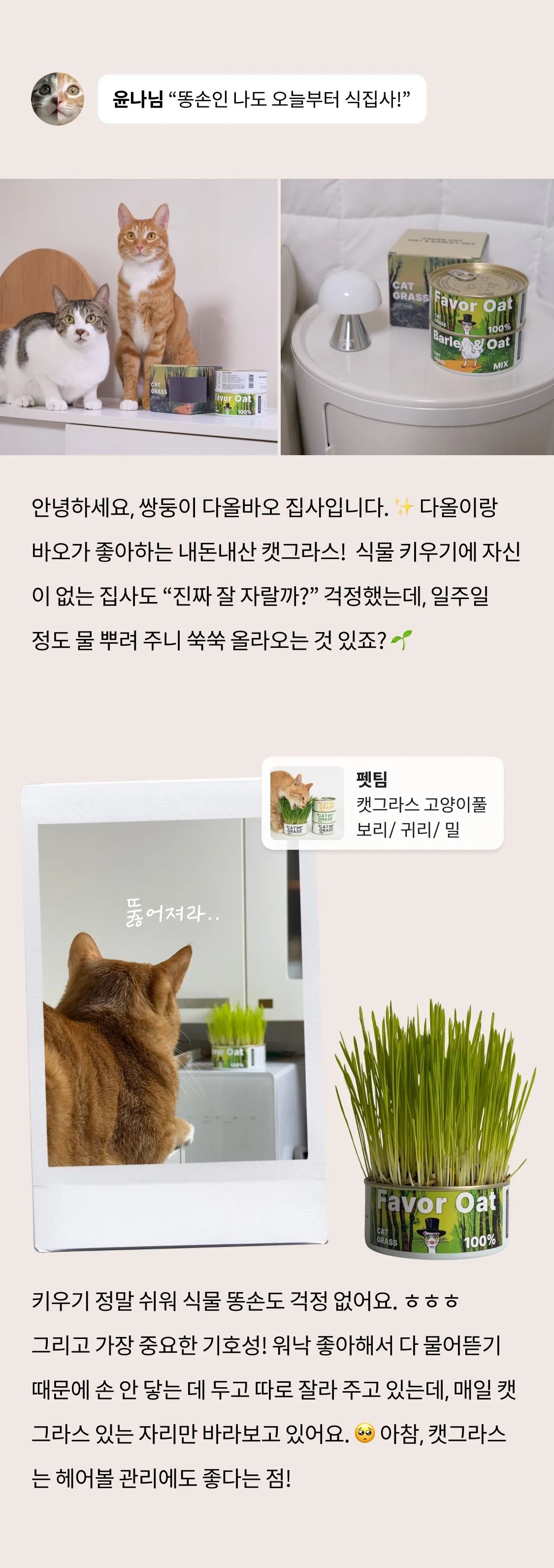8번째 파일