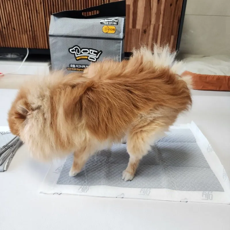 3번째 파일