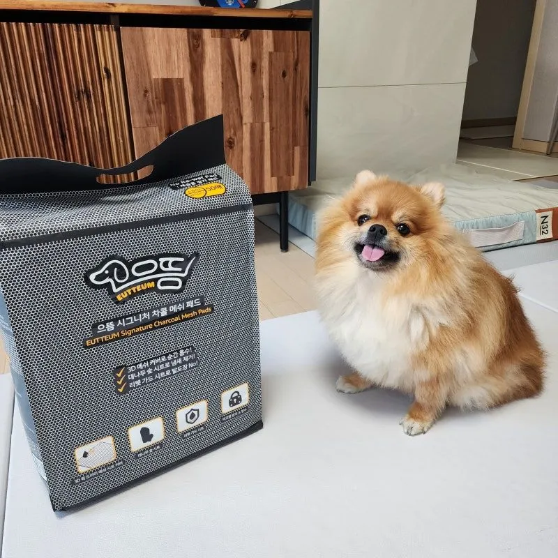 1번째 파일