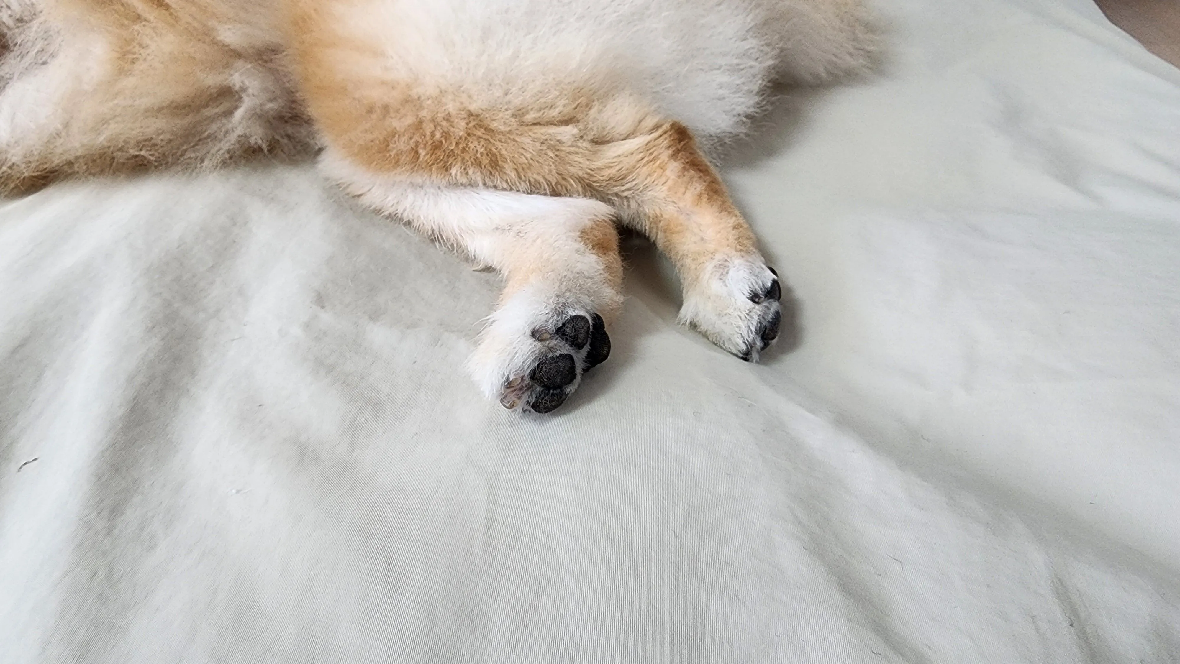 4번째 파일
