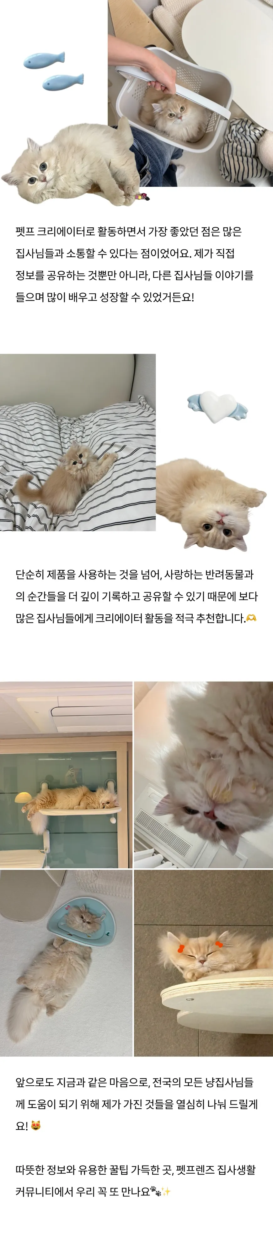 7번째 파일