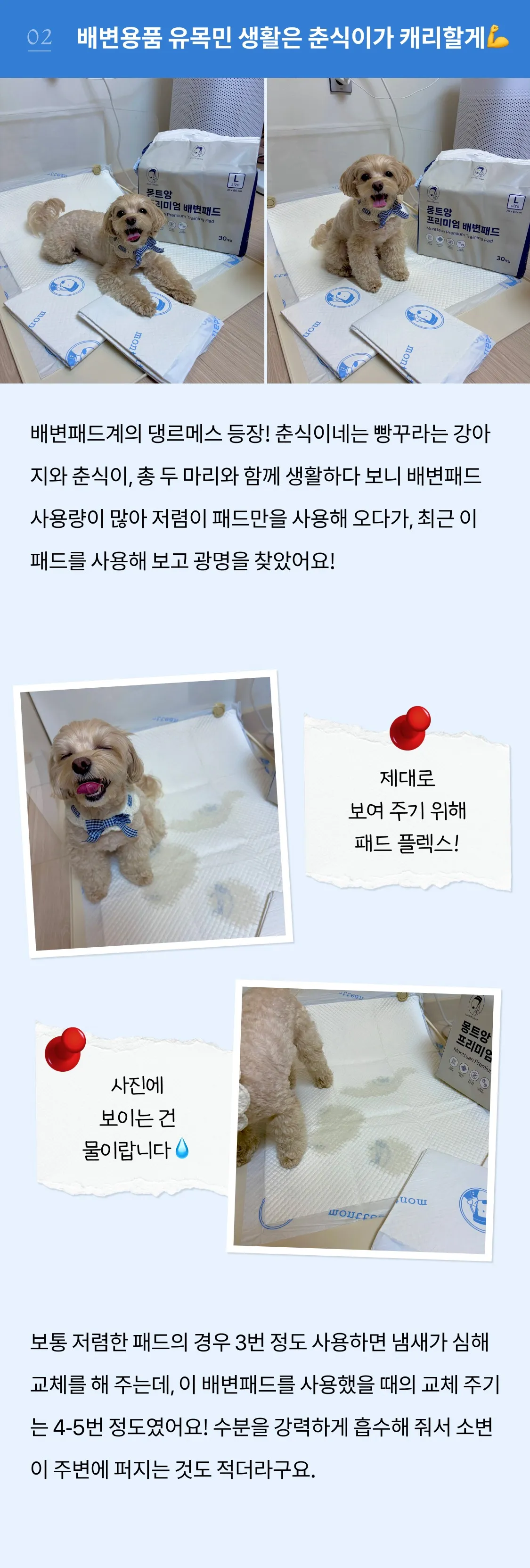 6번째 파일