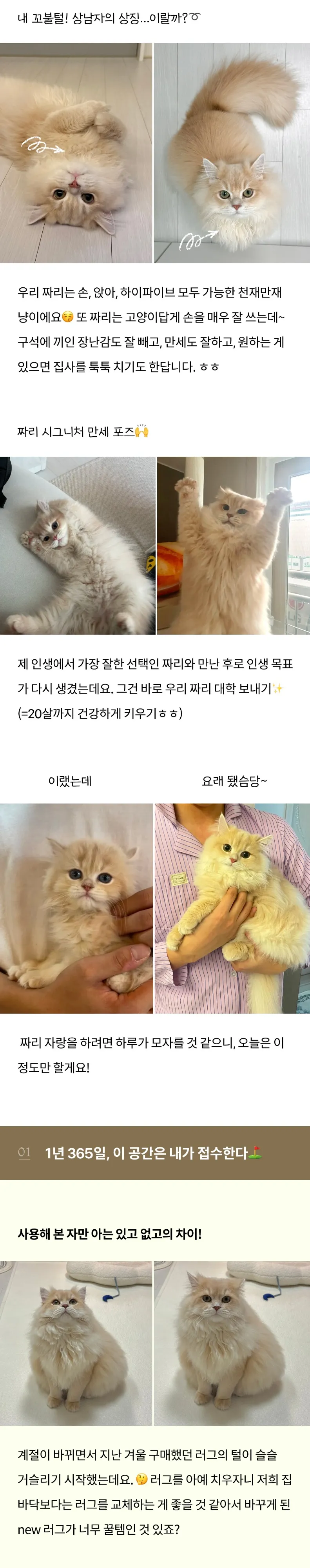 2번째 파일