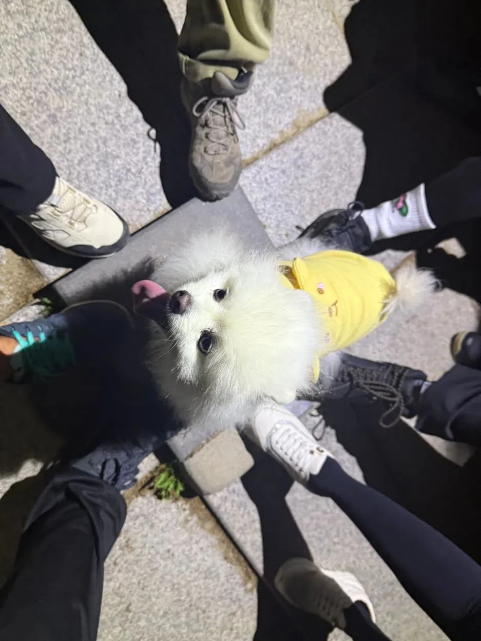 1번째 파일