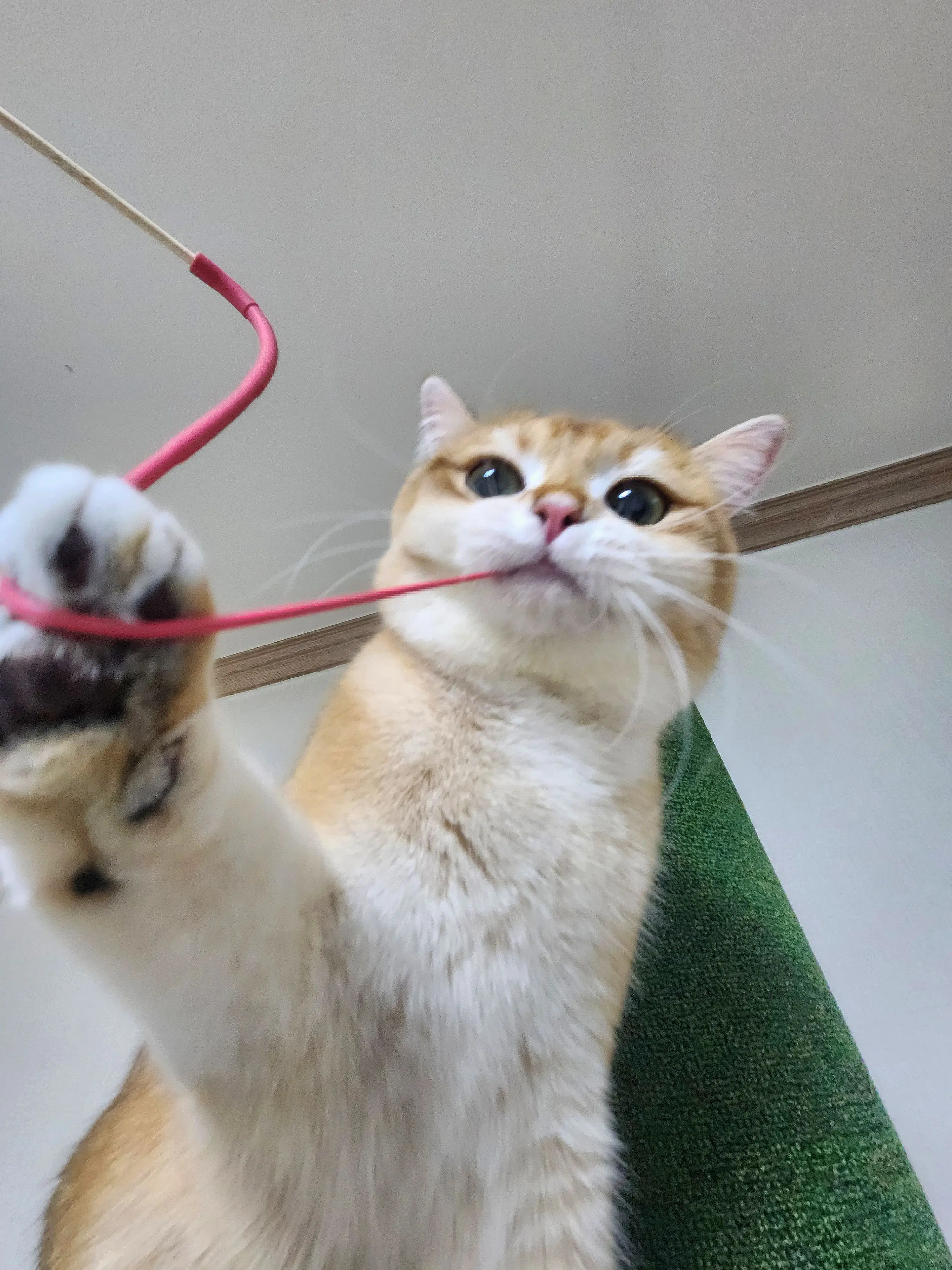 5번째 파일