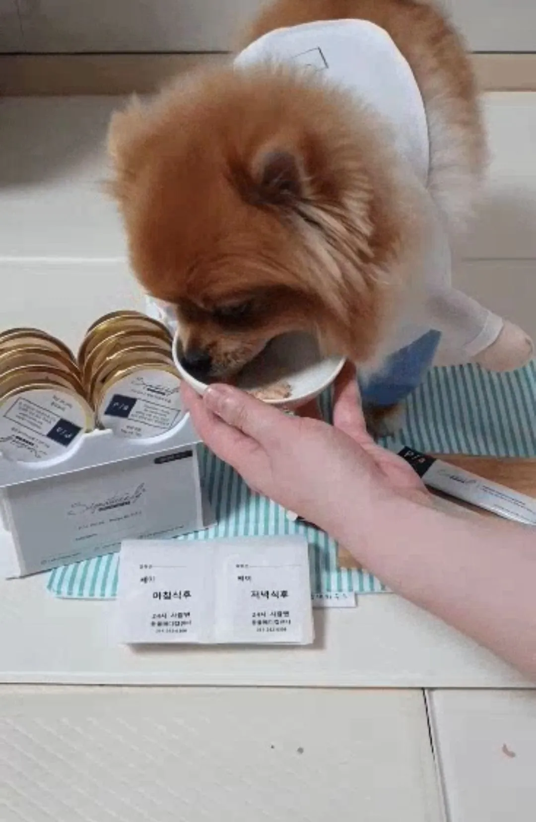 6번째 파일