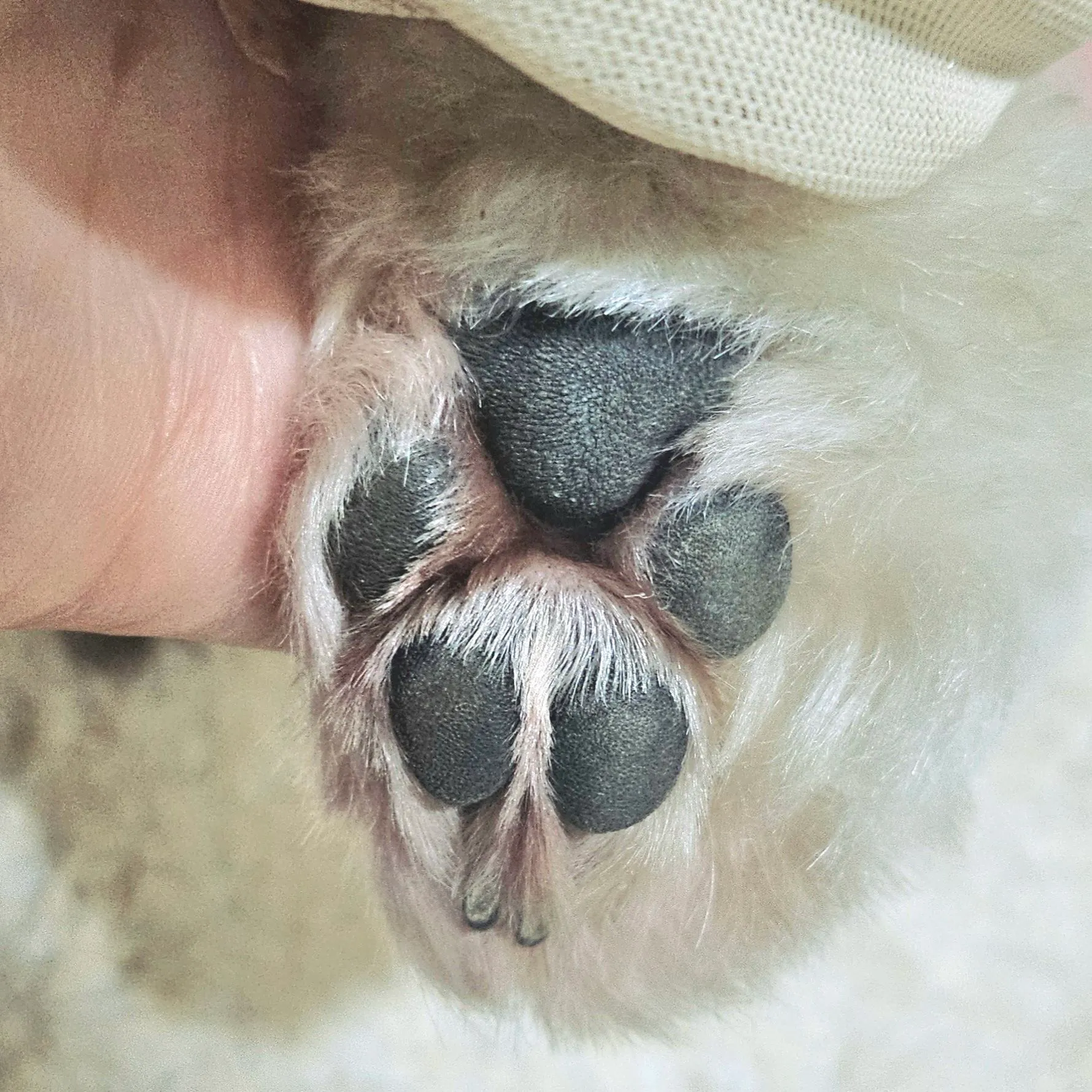 4번째 파일