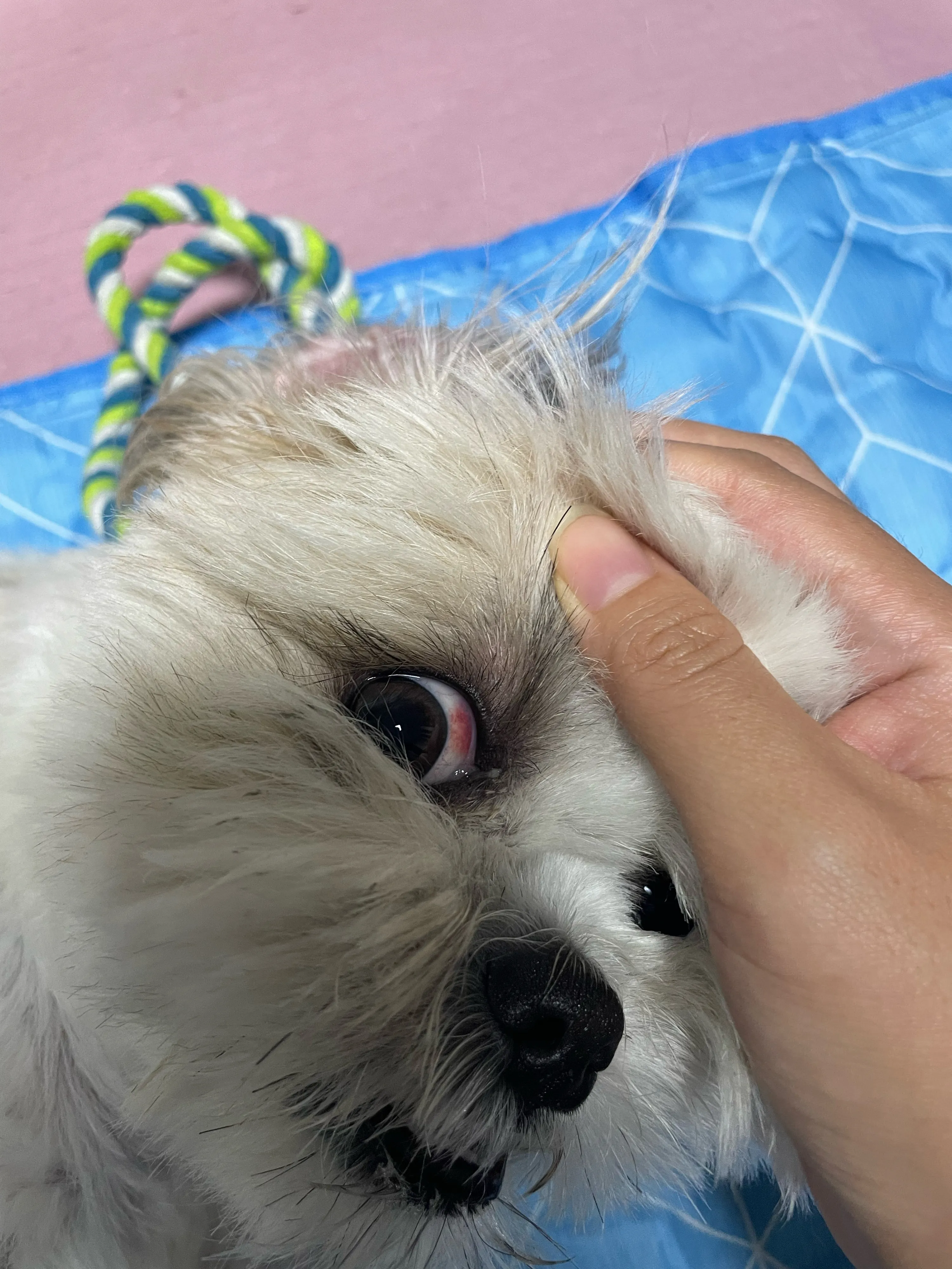 2번째 파일