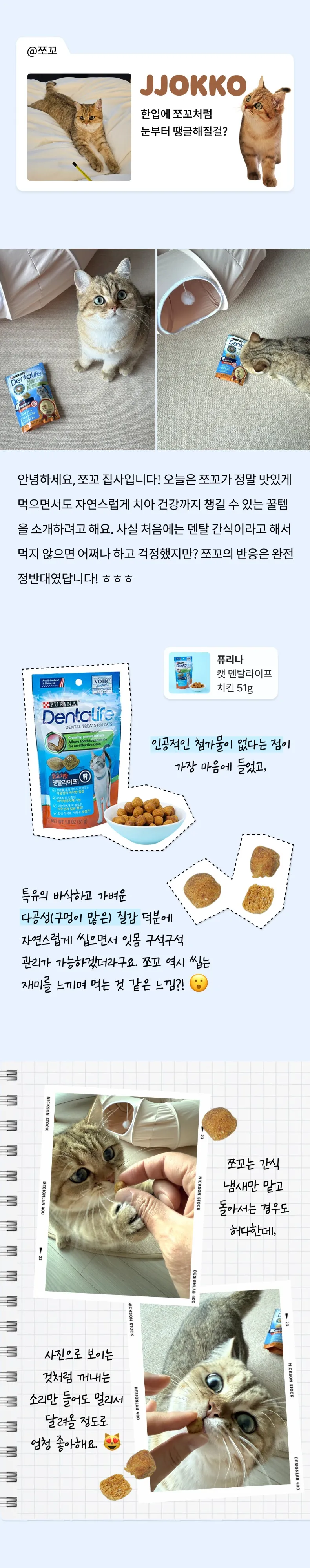 3번째 파일