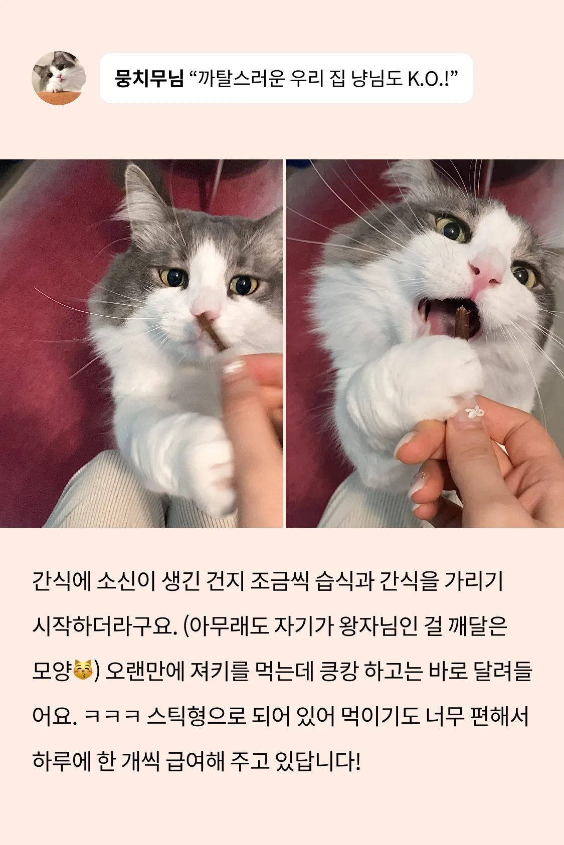 6번째 파일