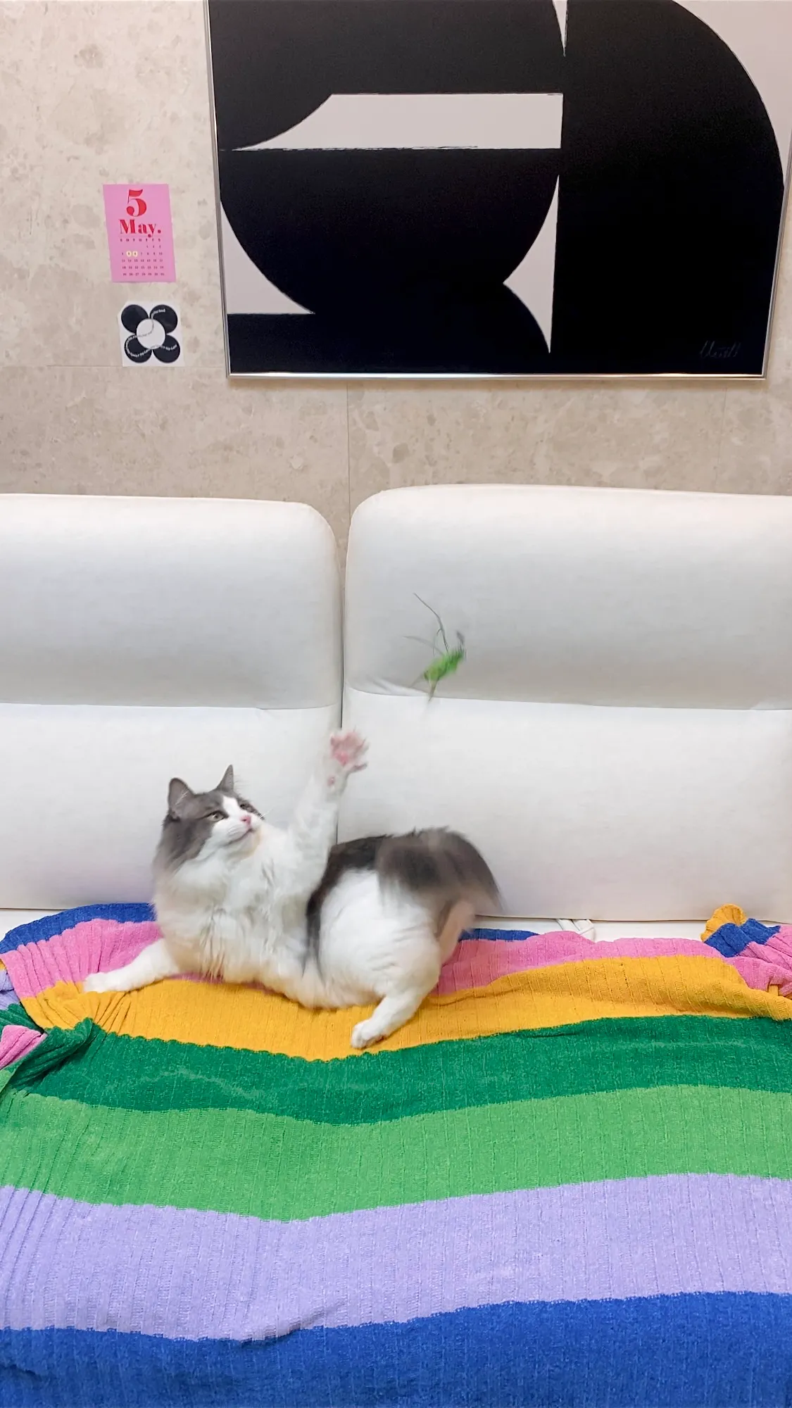 7번째 파일