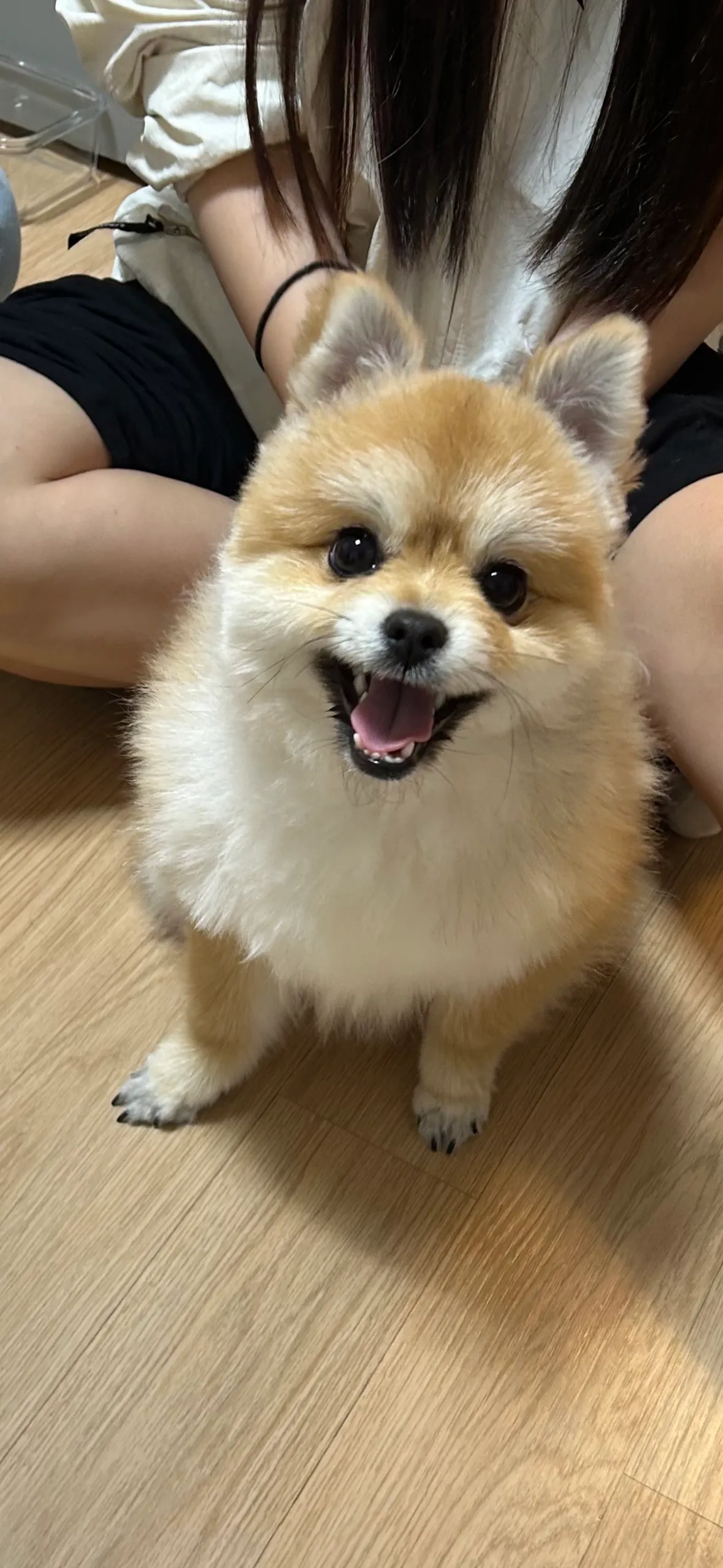 1번째 파일