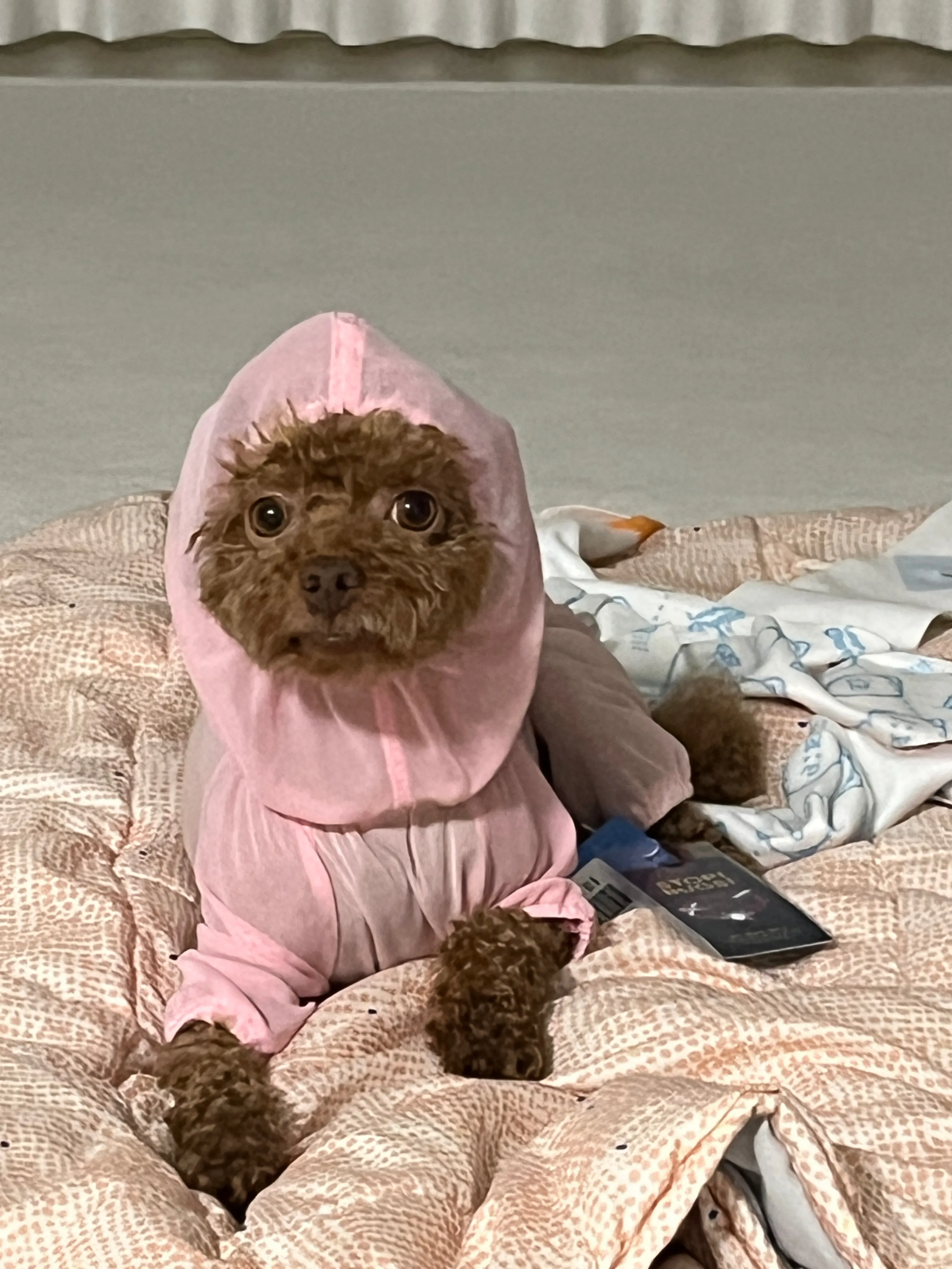 2번째 파일