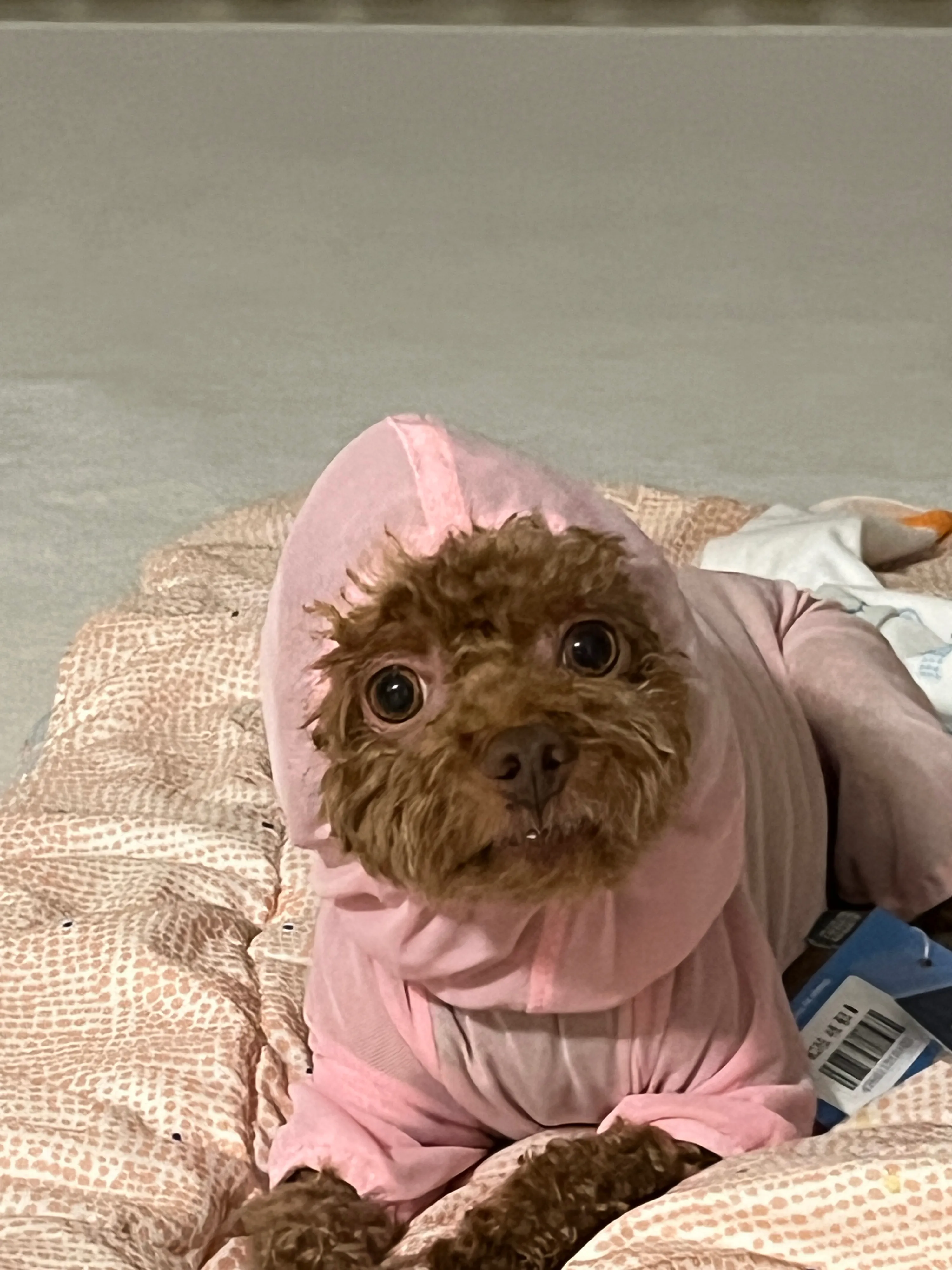 4번째 파일