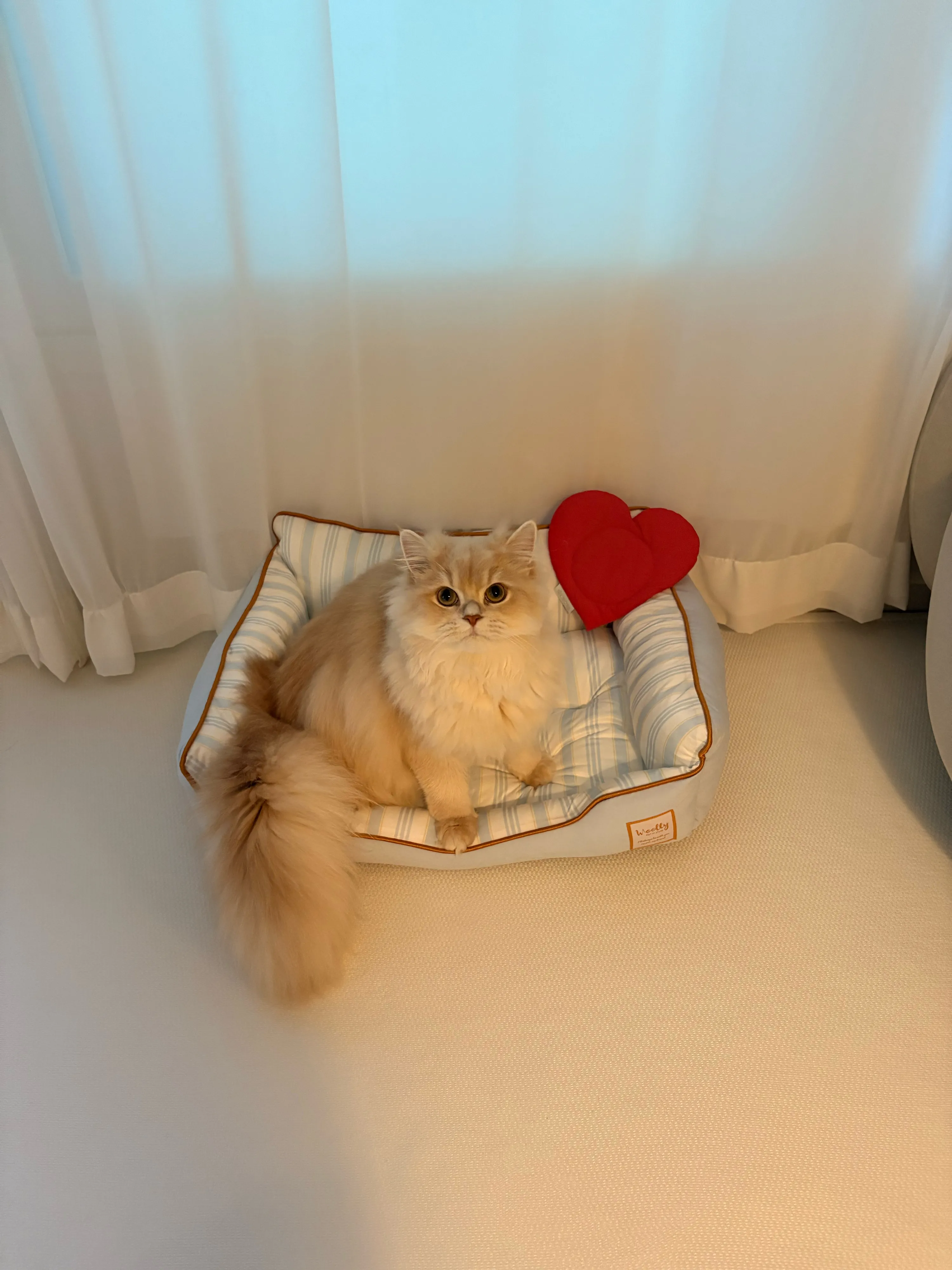 2번째 파일