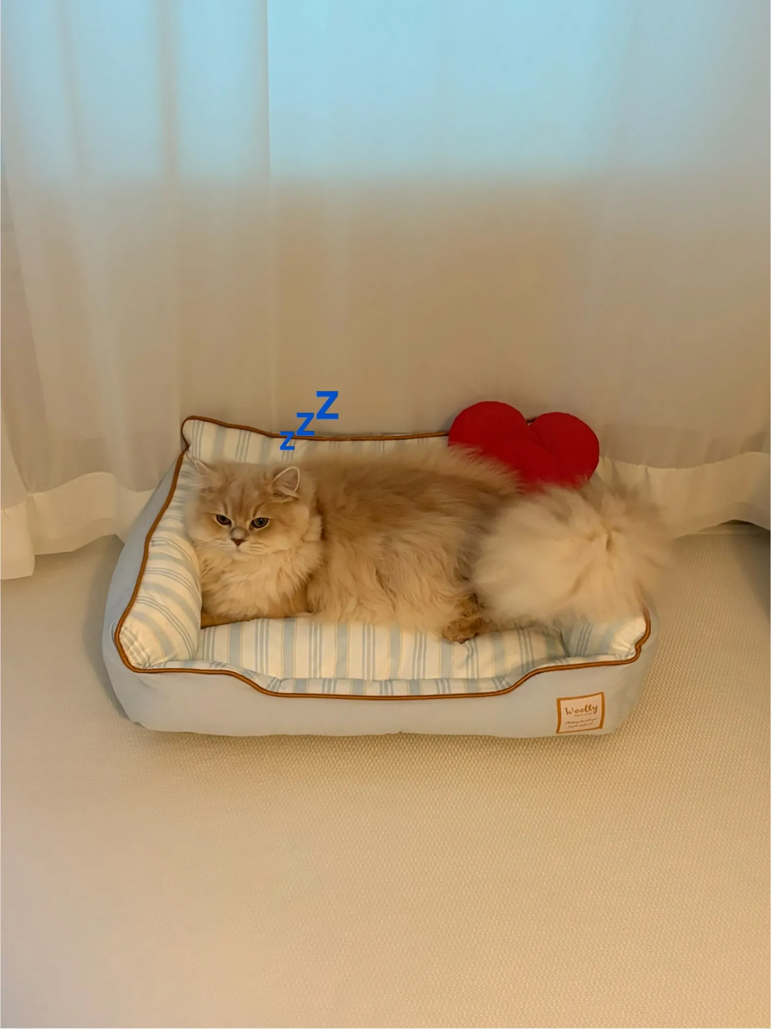 5번째 파일