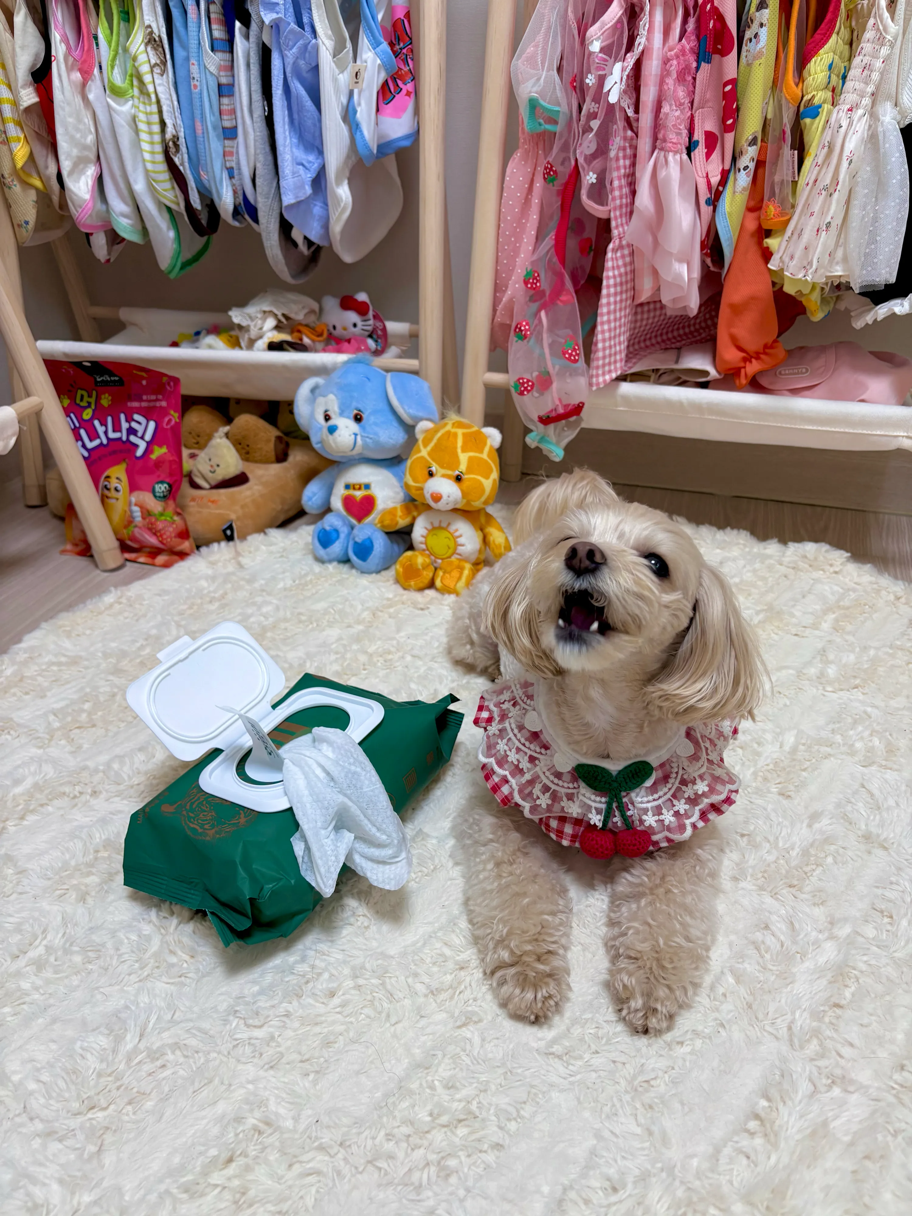 4번째 파일