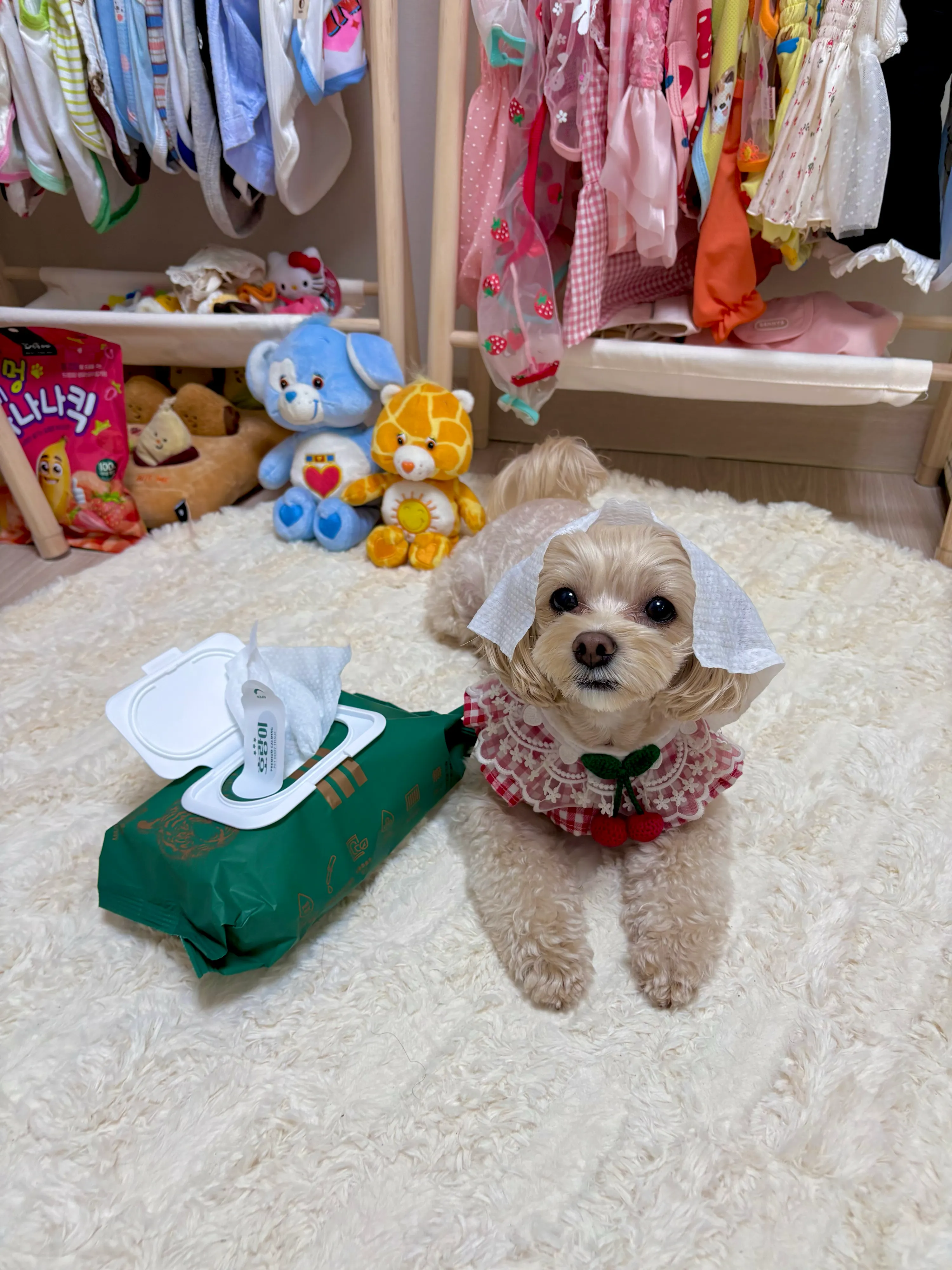 1번째 파일