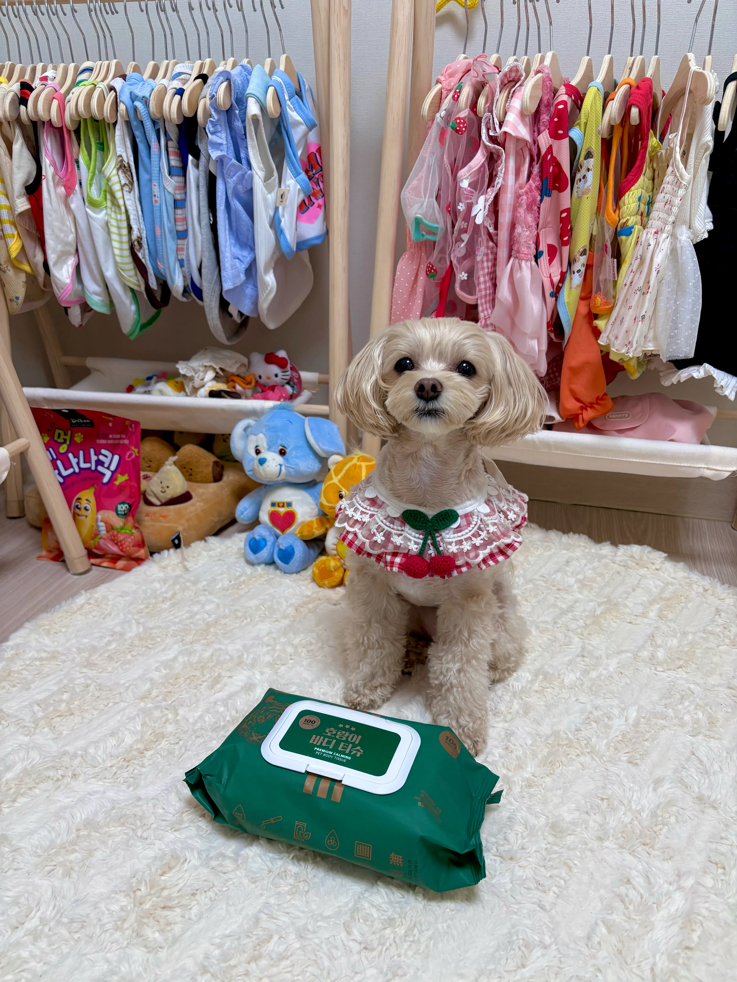6번째 파일